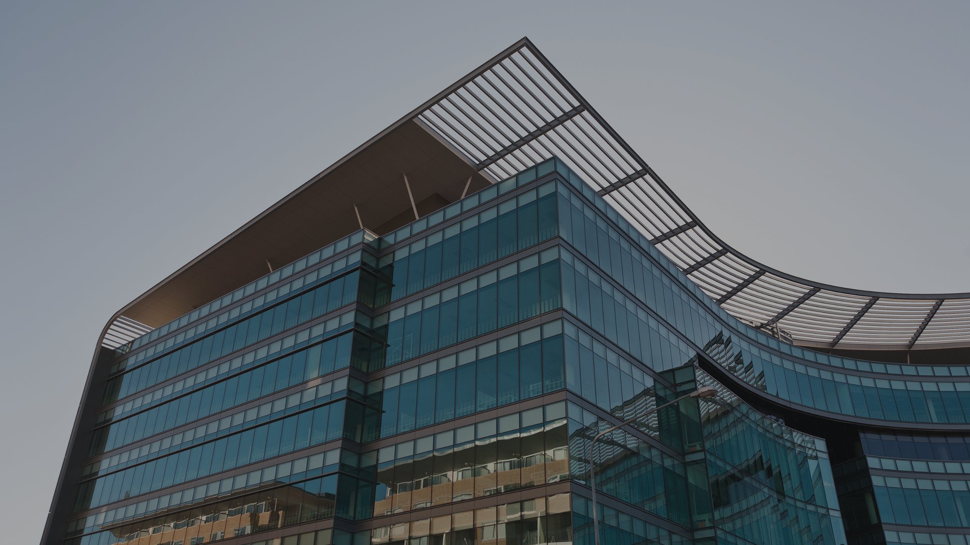 green leafed pine trees