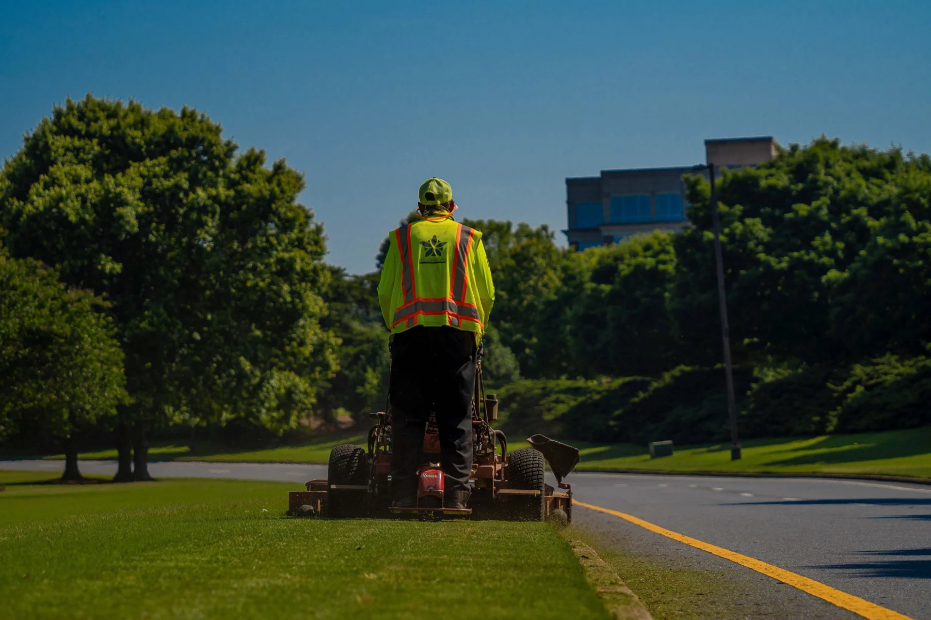 Arborist uses a chainsaw to cut a tree.