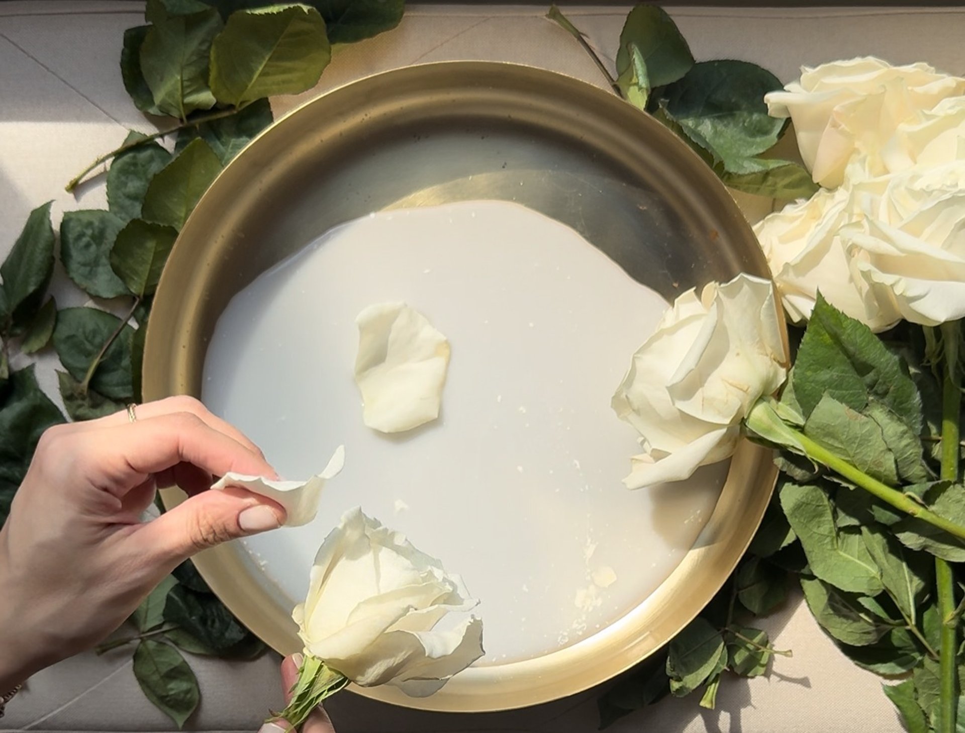 gray computer monitor