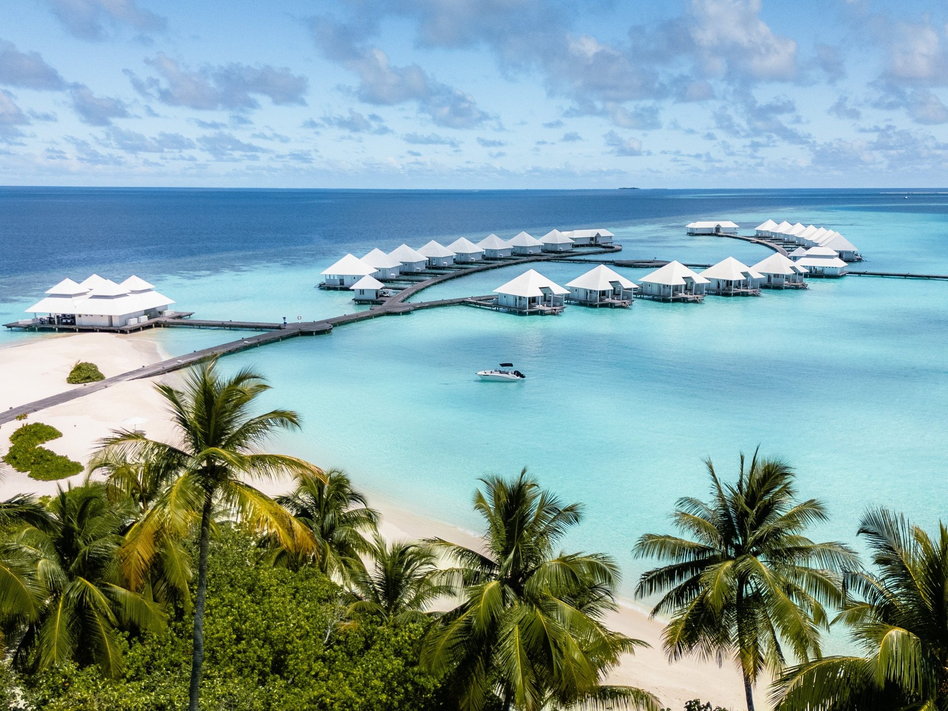 black and white bed linen