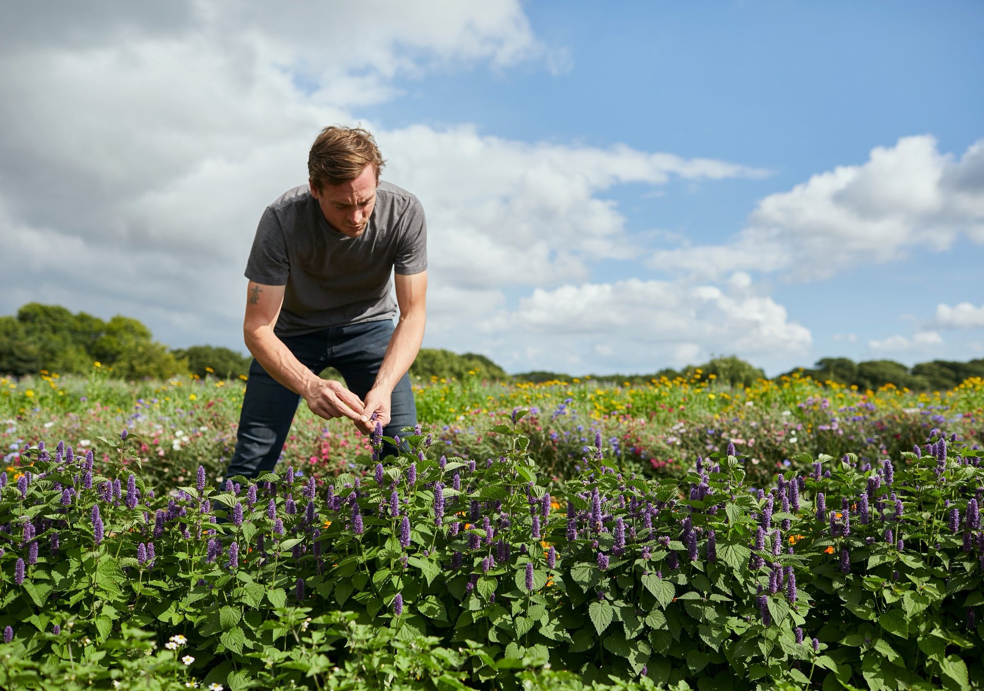 black and white bed linen