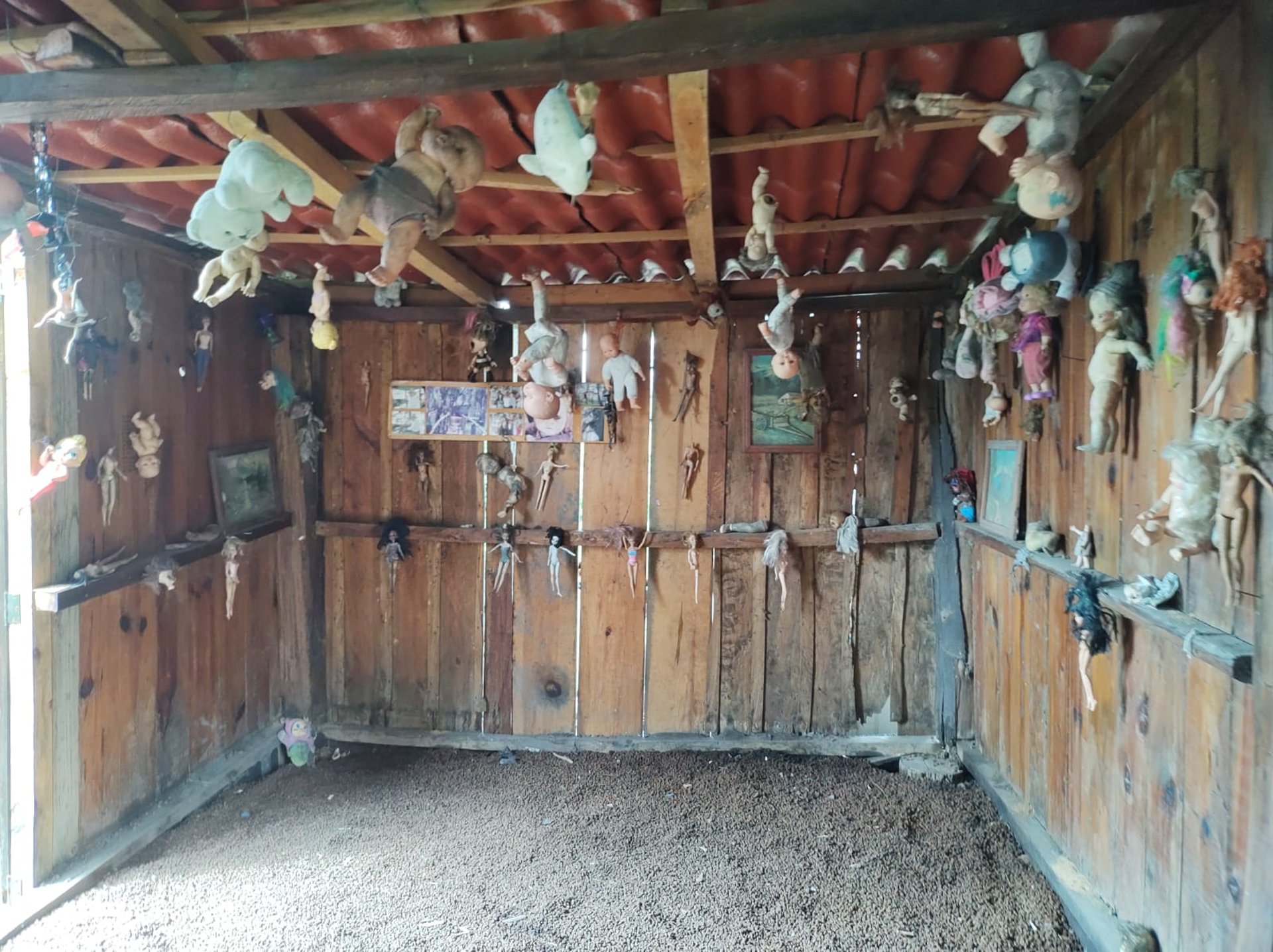 an abstract photo of a curved building with a blue sky in the background
