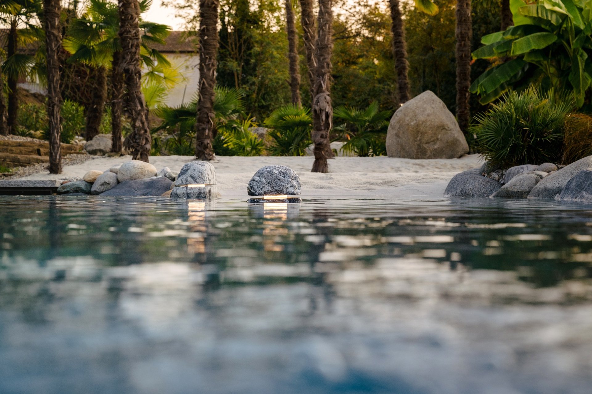 a rendering of a modern house with palm trees