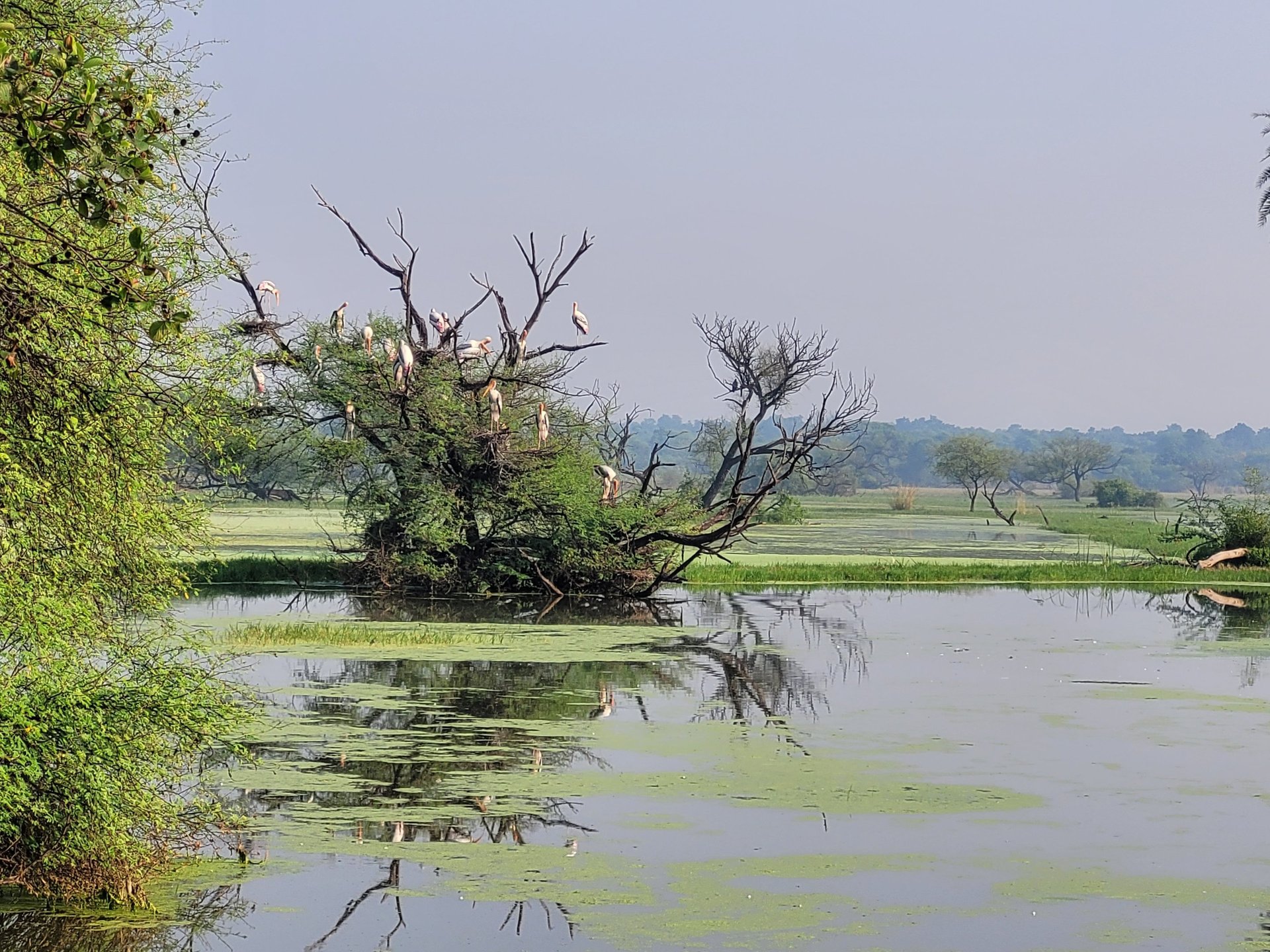 woman wearing yellow long-sleeved dress under white clouds and blue sky during daytime