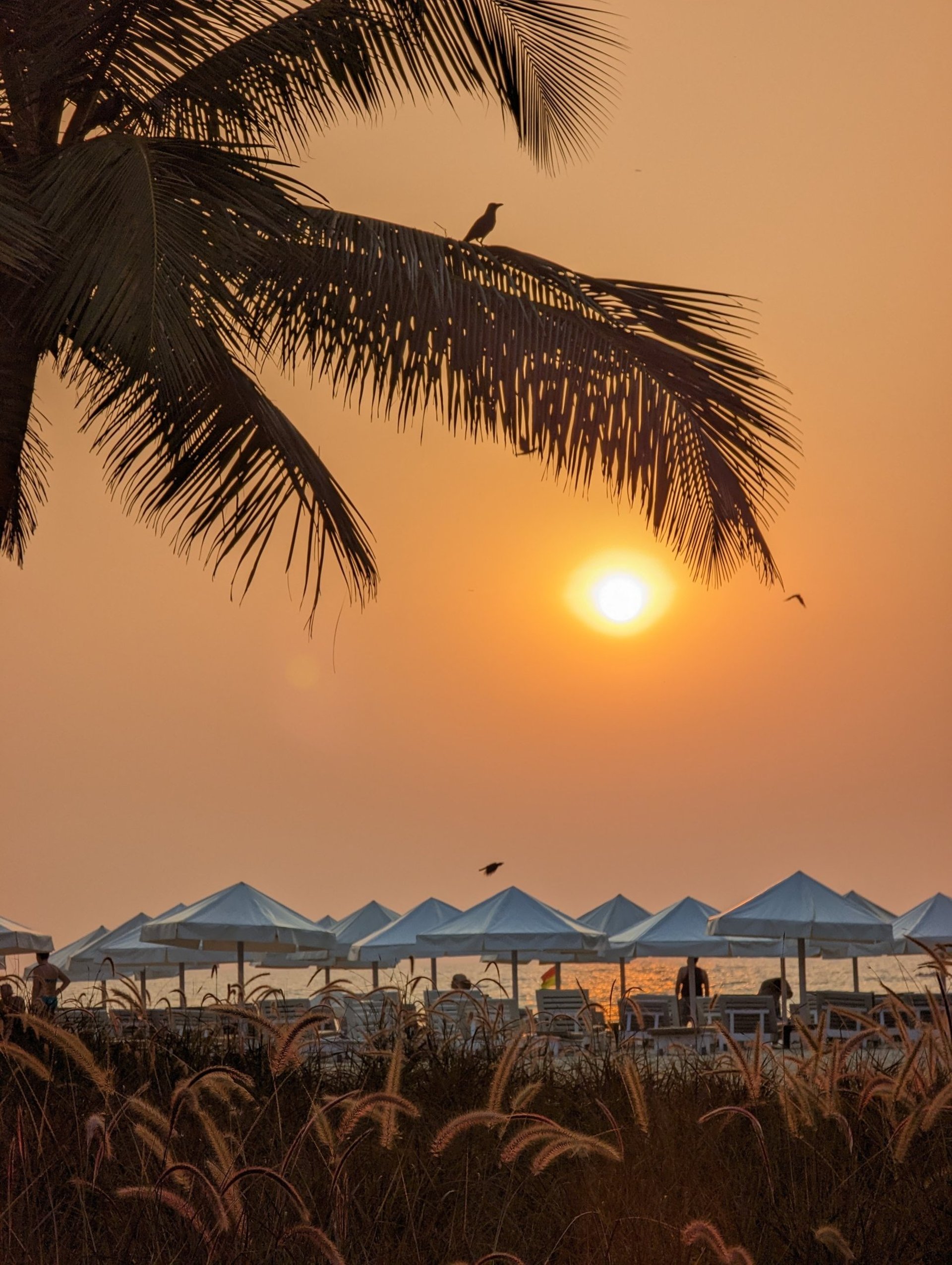 person holding white paper inside car