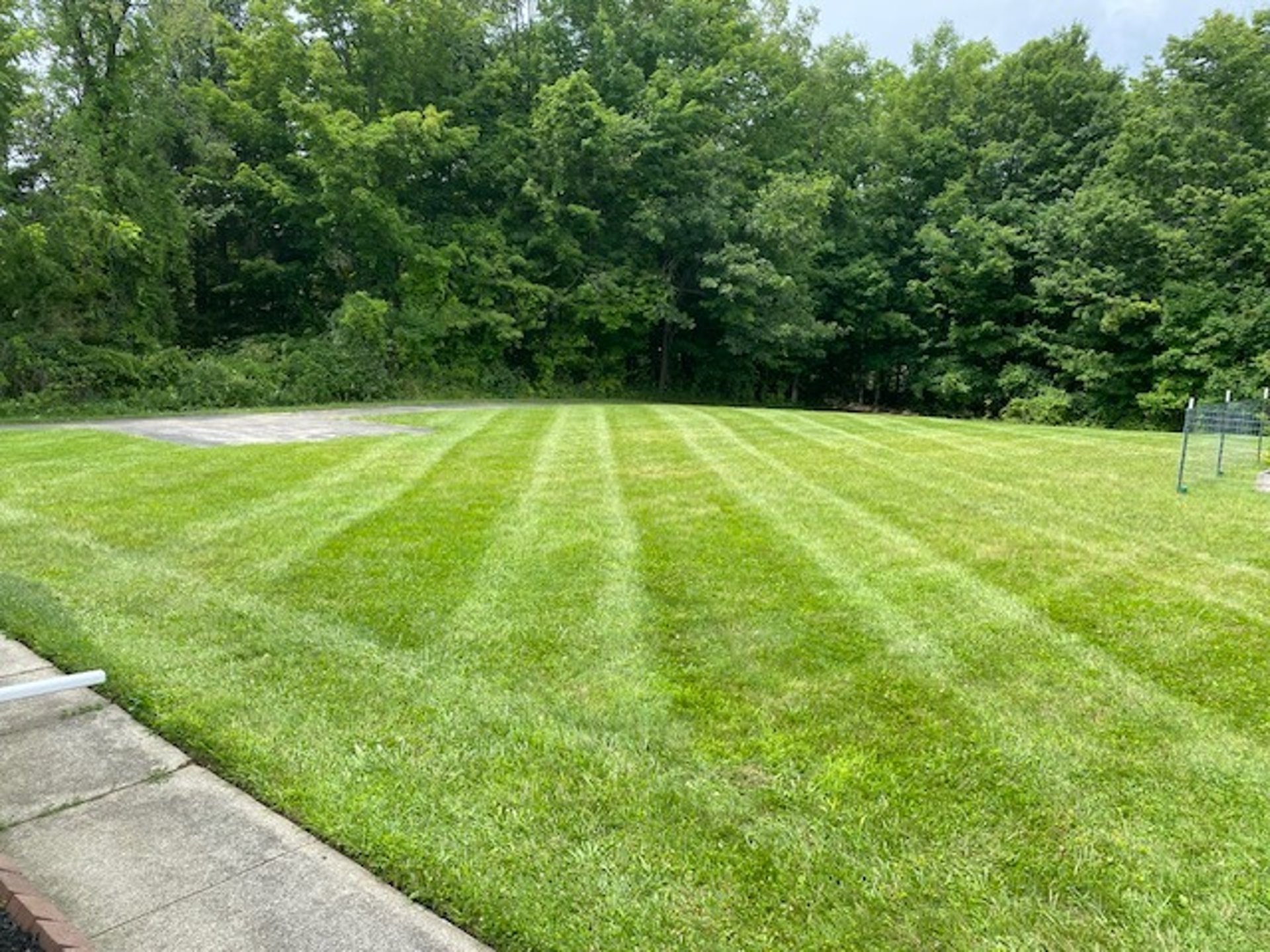 woman wearing yellow long-sleeved dress under white clouds and blue sky during daytime