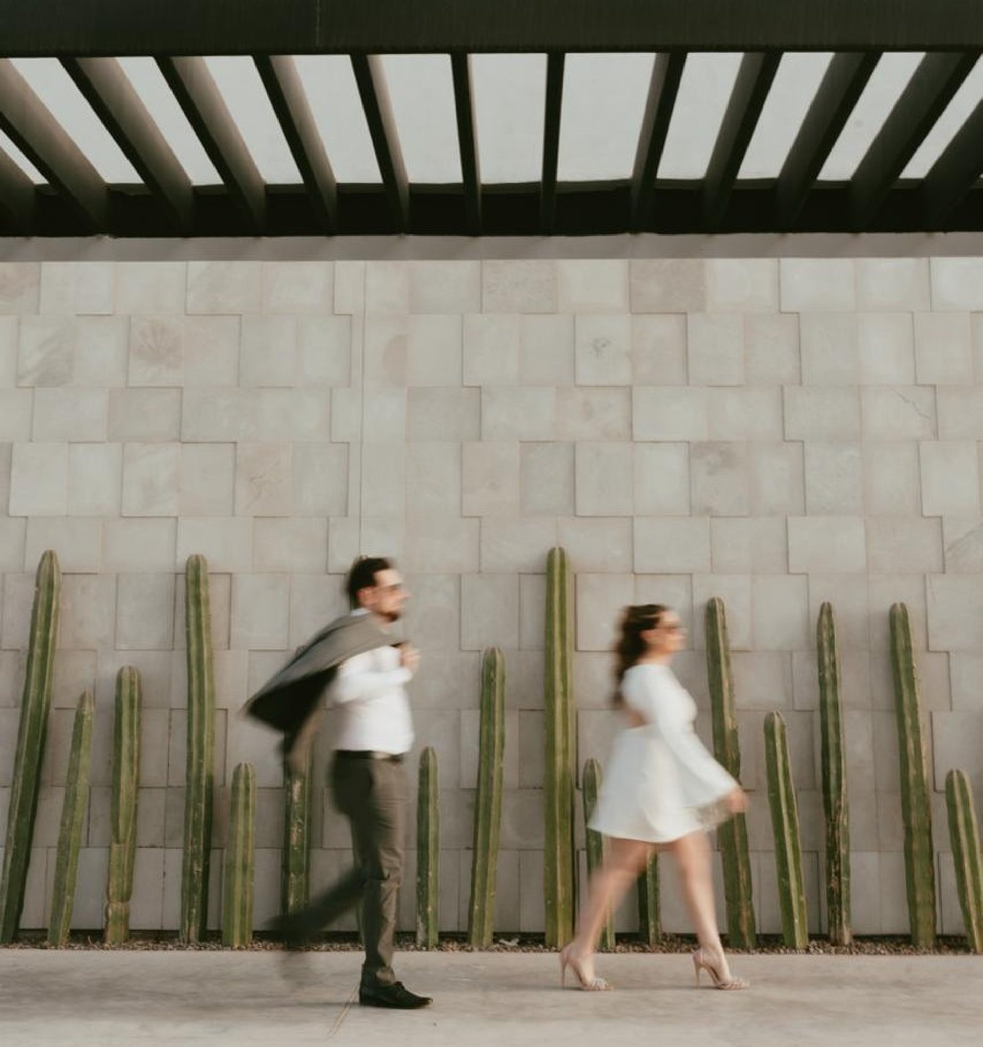 white wall paint with black line