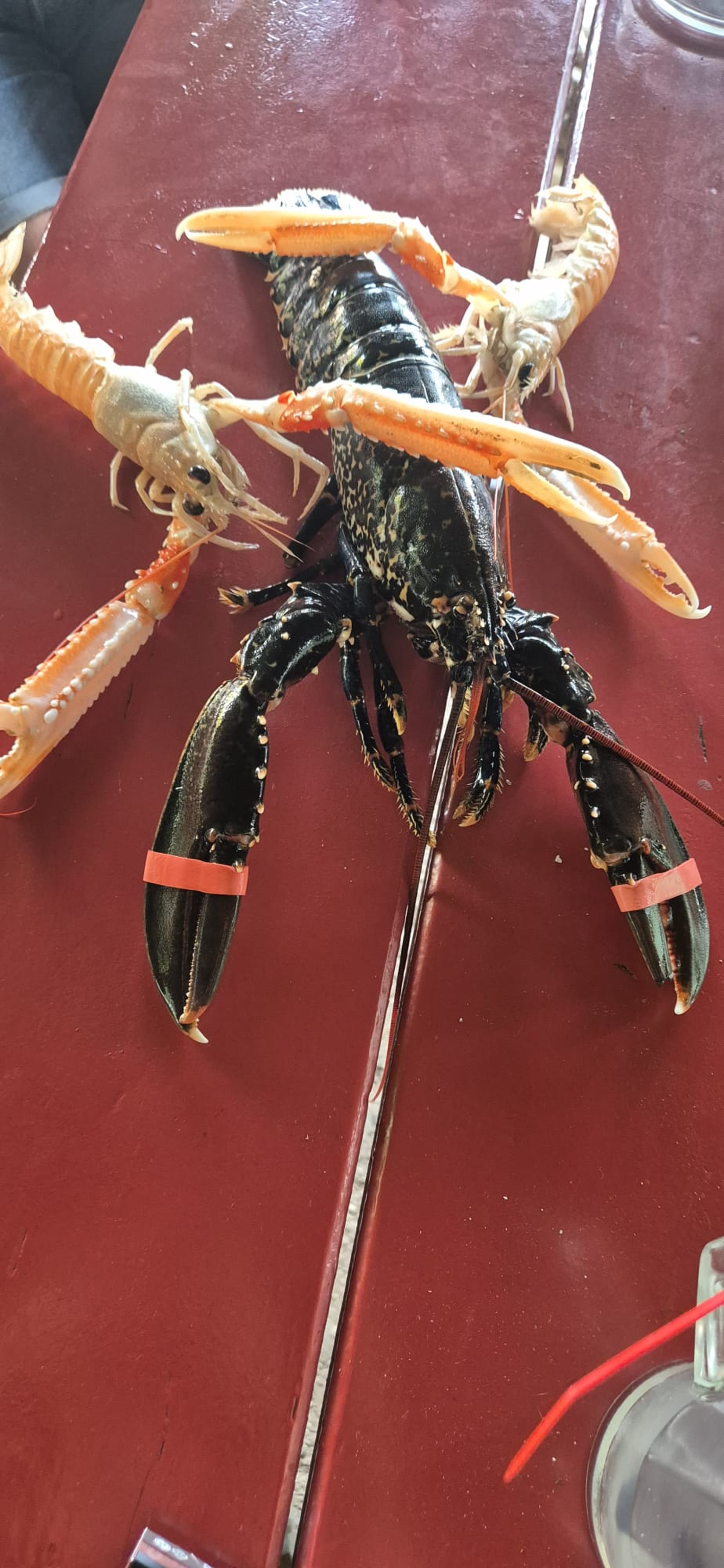 black and white bed linen