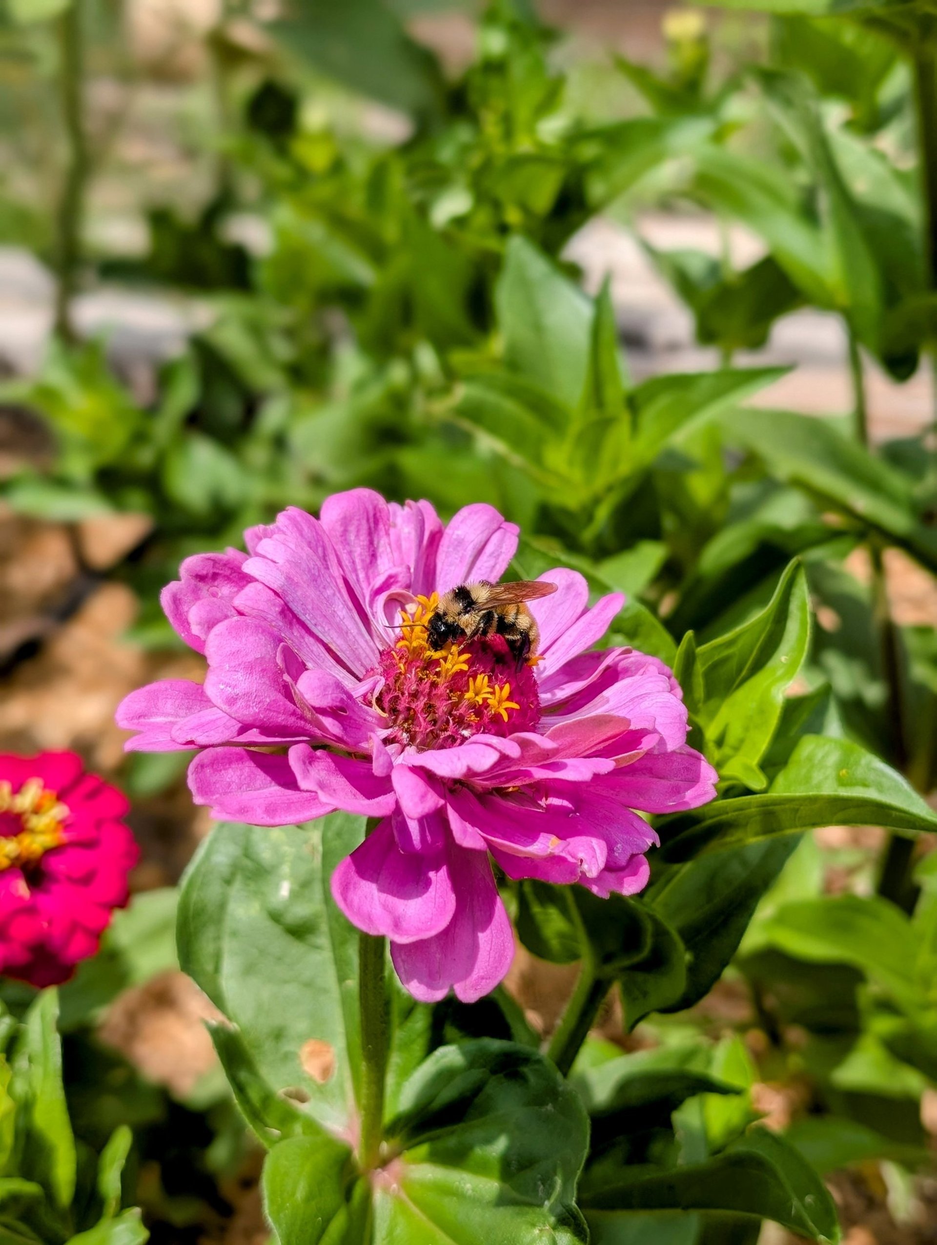 woman wearing yellow long-sleeved dress under white clouds and blue sky during daytime