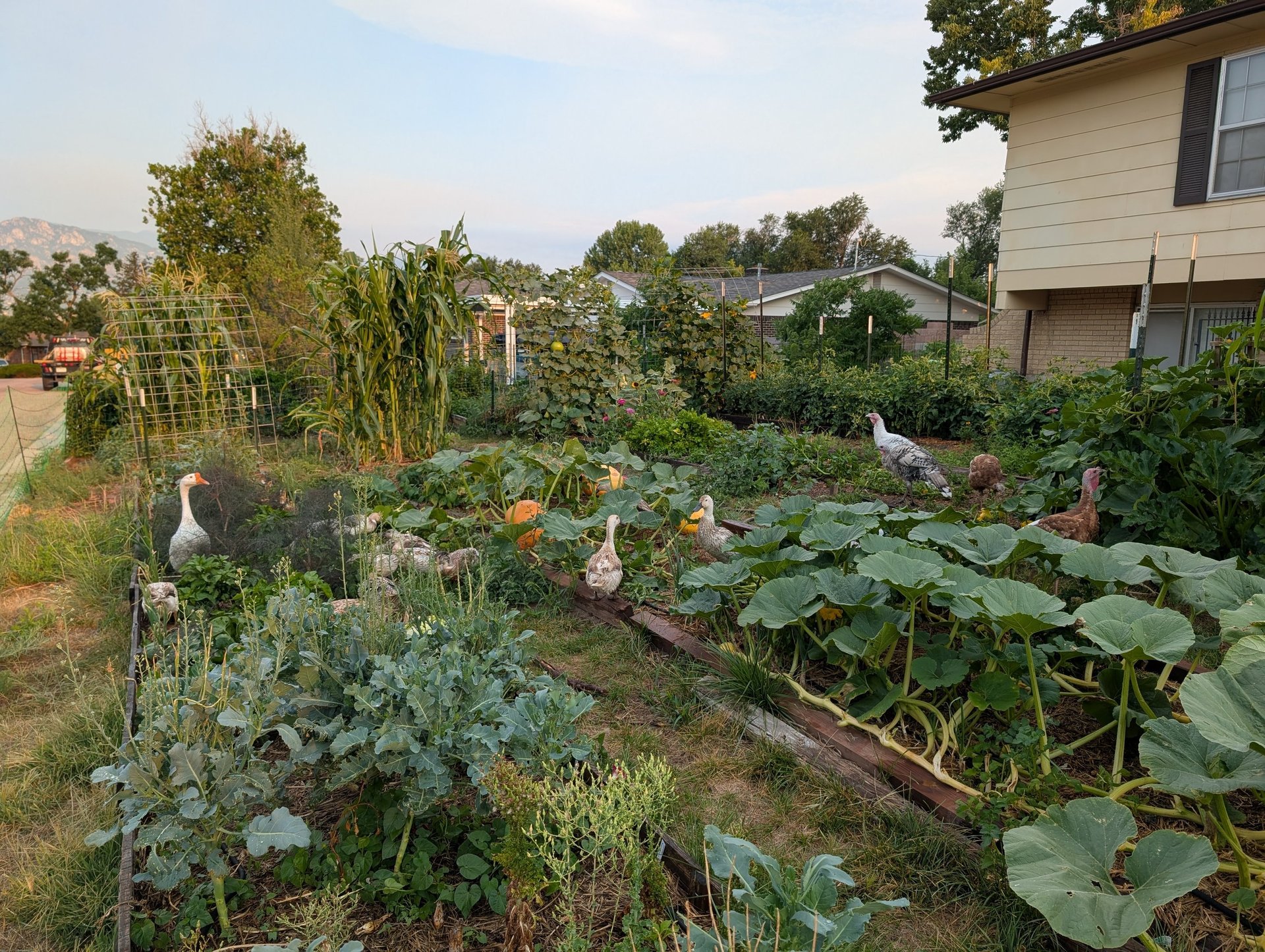 black and white bed linen