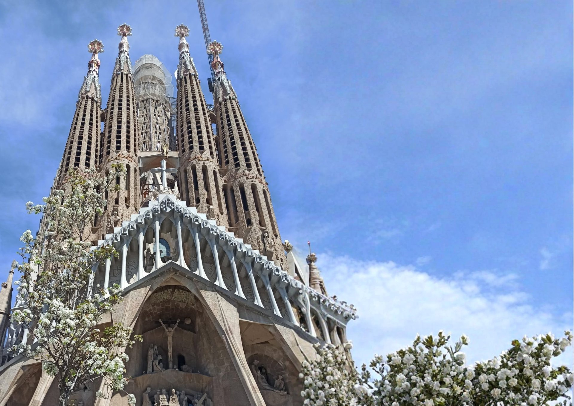 brown and beige concrete building
