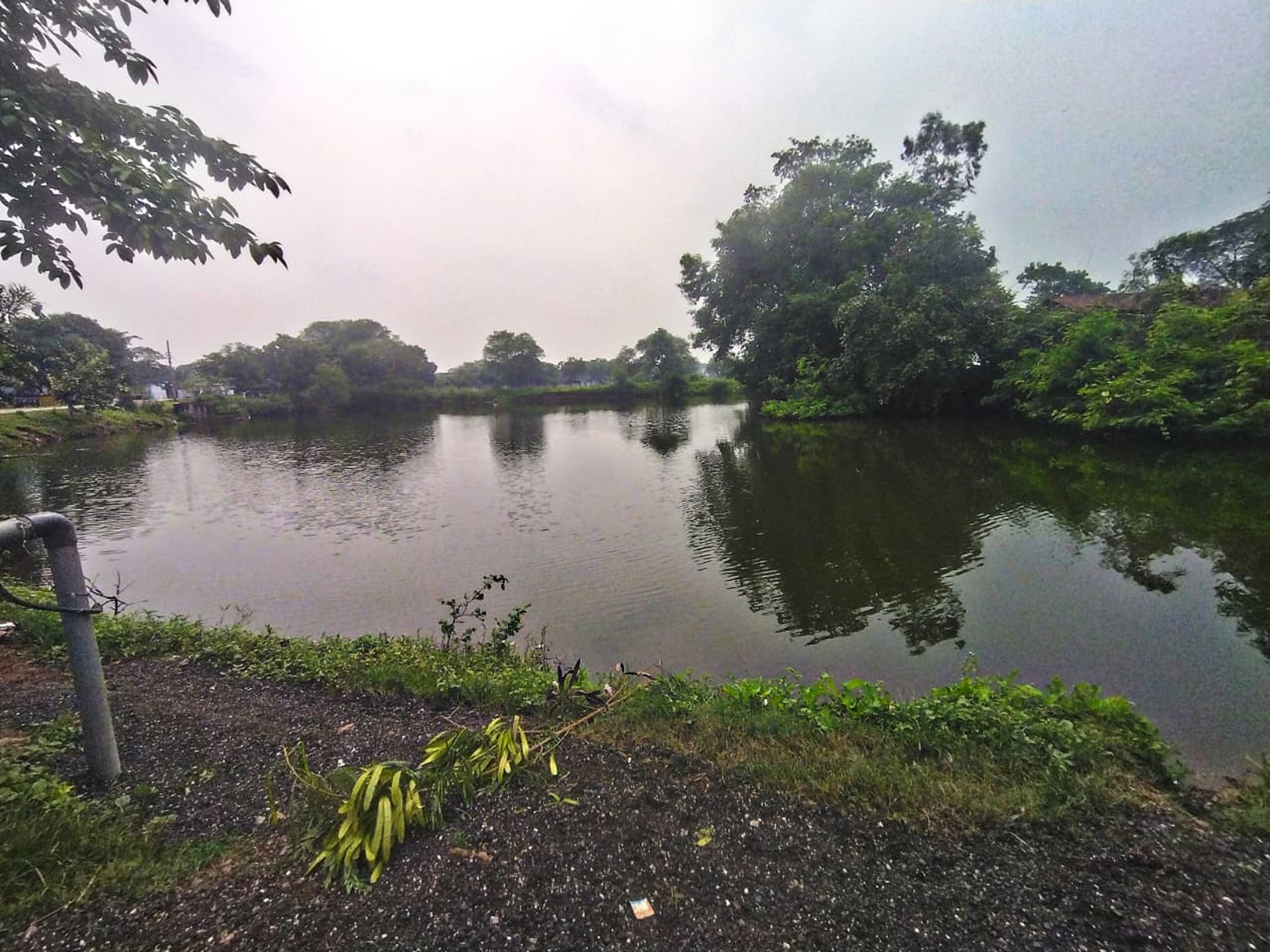 gray computer monitor