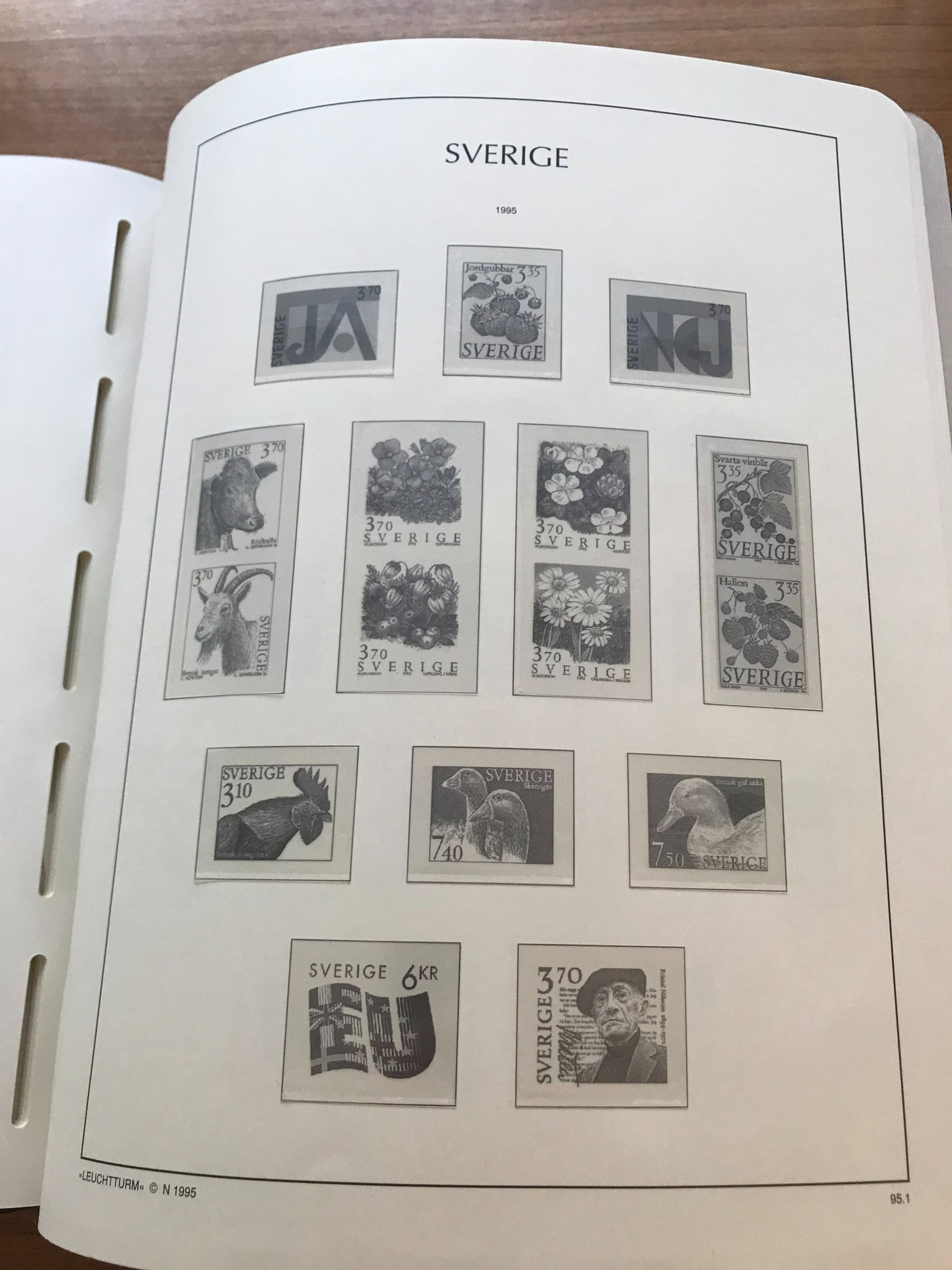 gray computer monitor