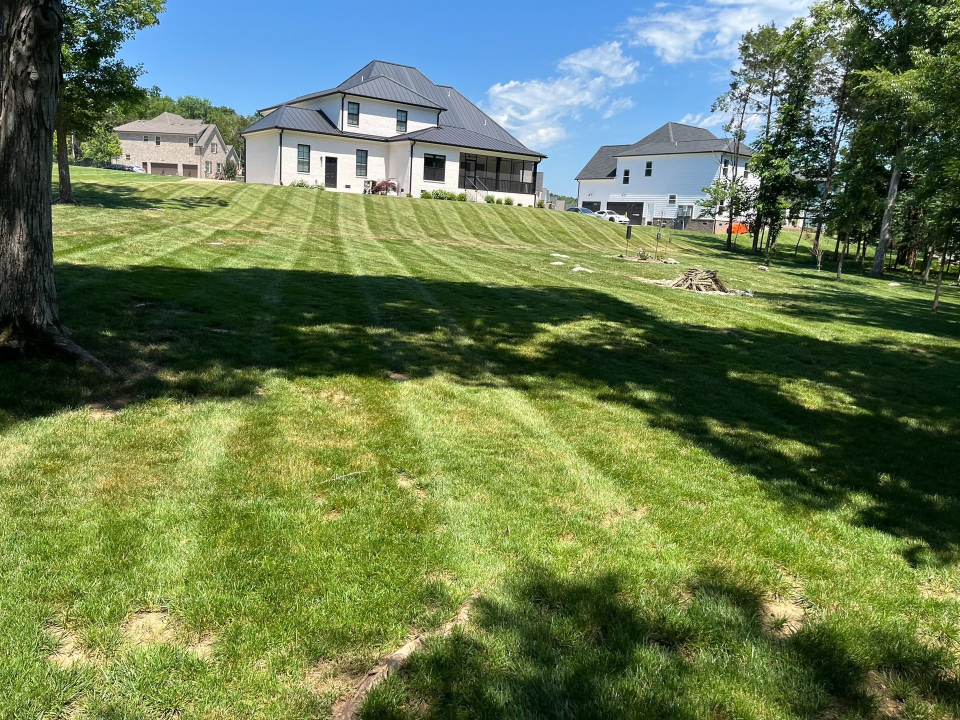 an abstract photo of a curved building with a blue sky in the background