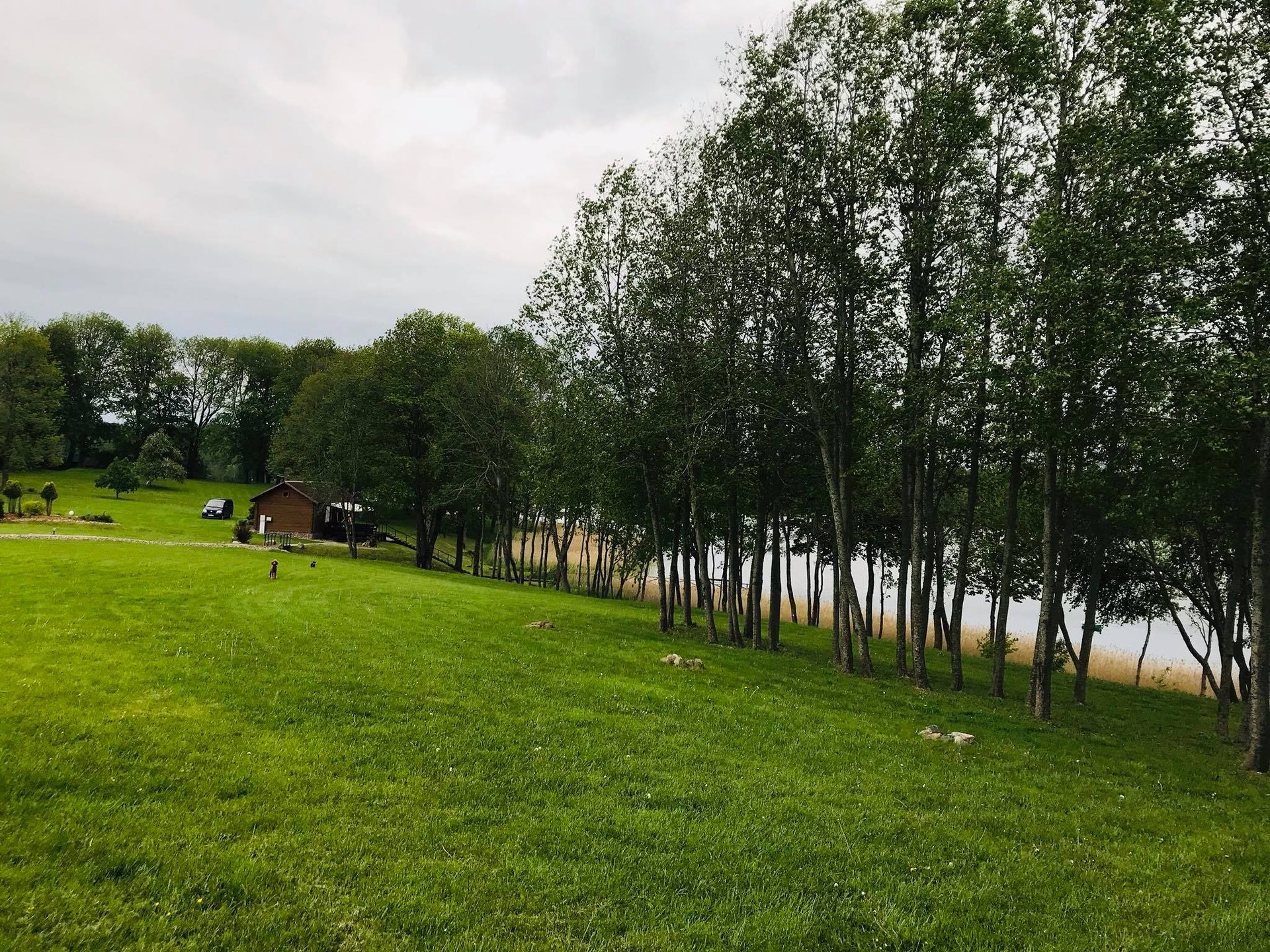 gray computer monitor