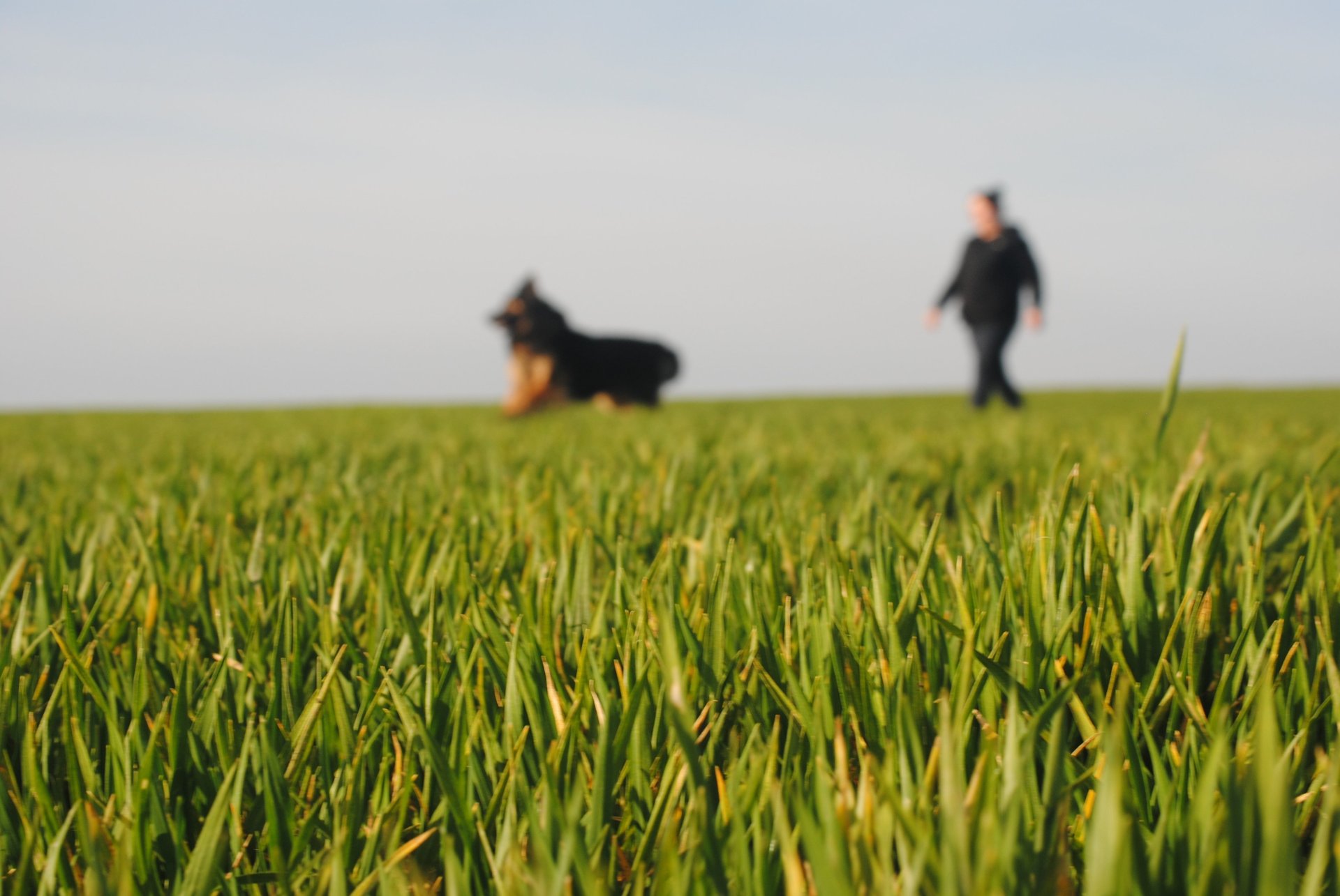 Founder of Willowland K9 Hannah and Bruce the German shepherd