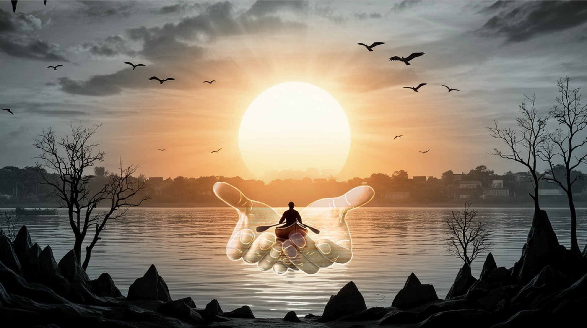 field of green trees