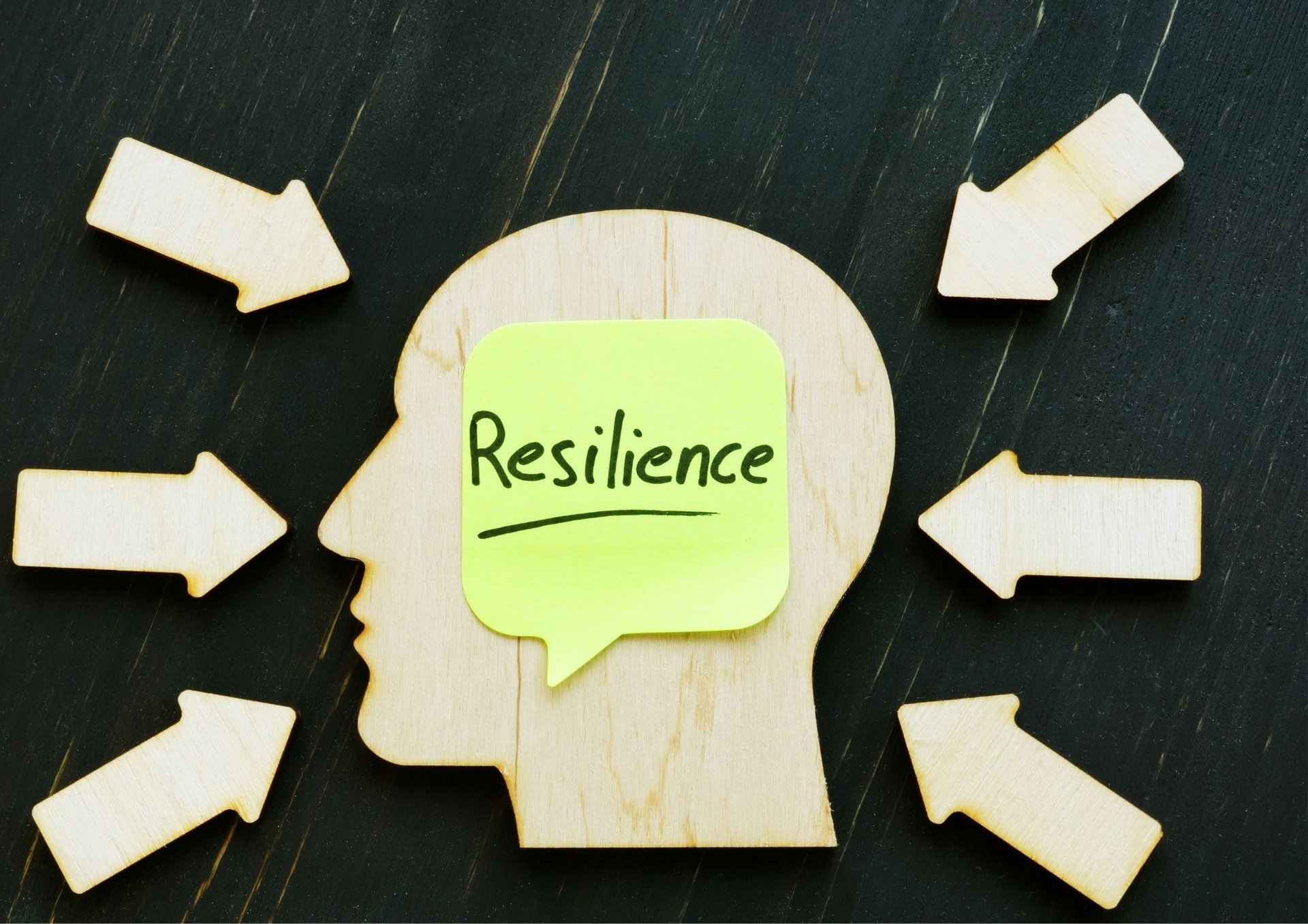 Building Resilience: Managing Stress in Professional Environments