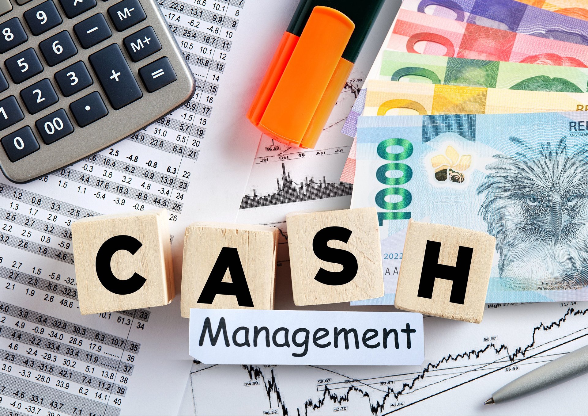Financial Control in Cash Management: Ensuring Accountability and Efficiency