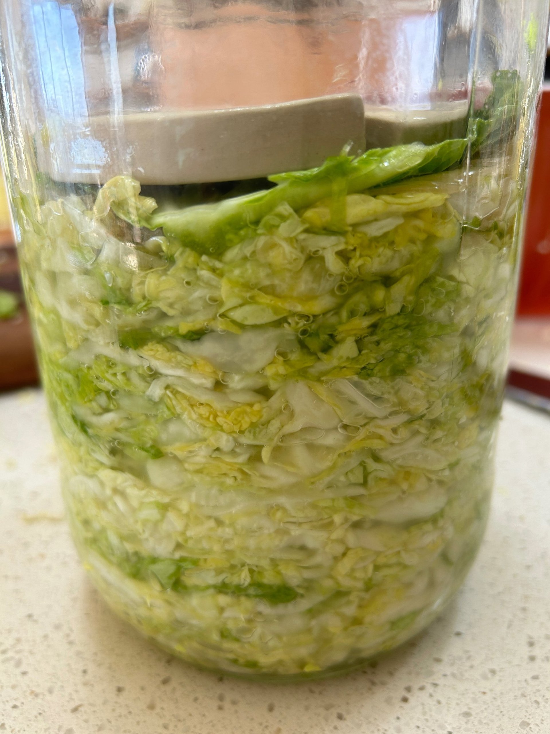 sauerkraut in a jar with a ceramic weight