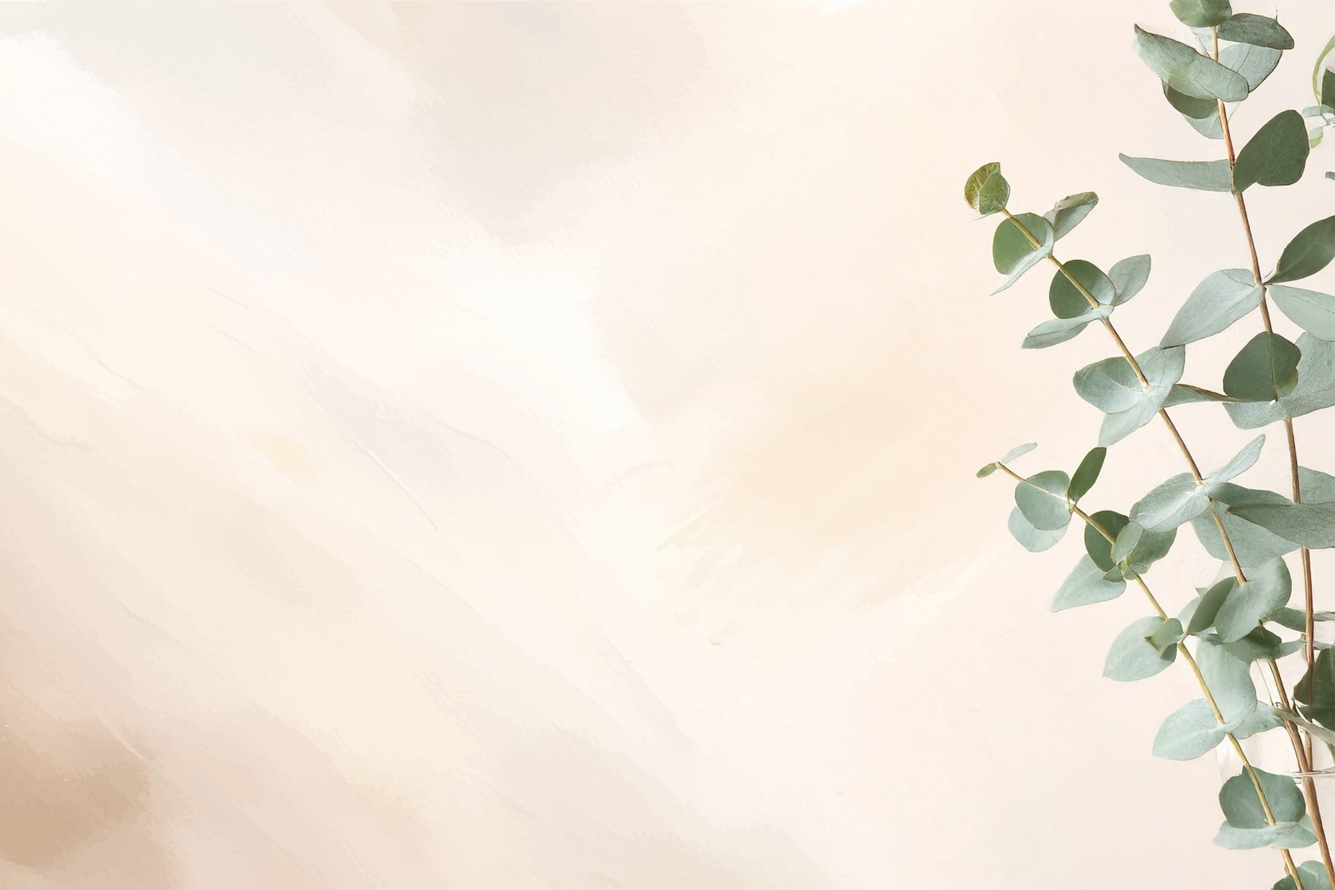 green leafed plant in closeup shot