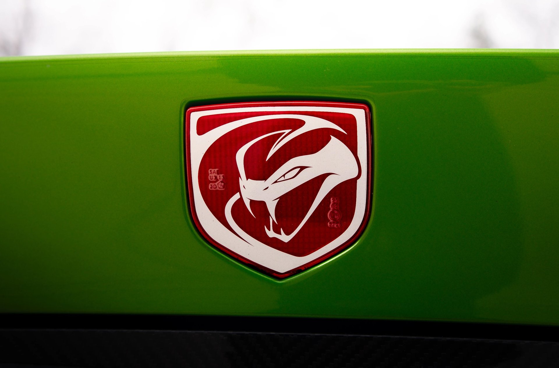 Sleek, black, and elegant BMW Coupe car photos taken at 704 Exotics in Charlotte, North Carolina.