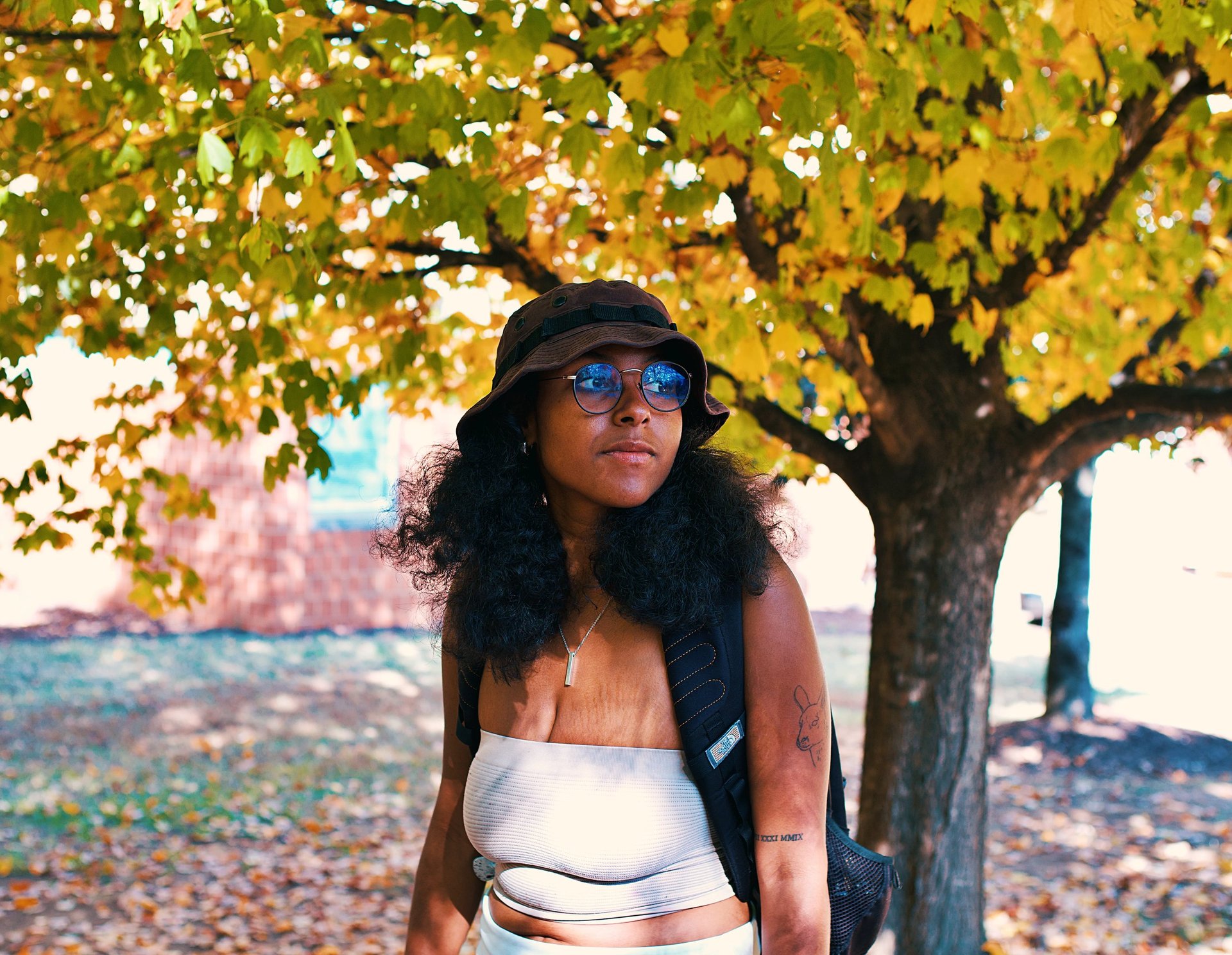 Young college black woman birdwatching underneath golden yellow autumn trees.