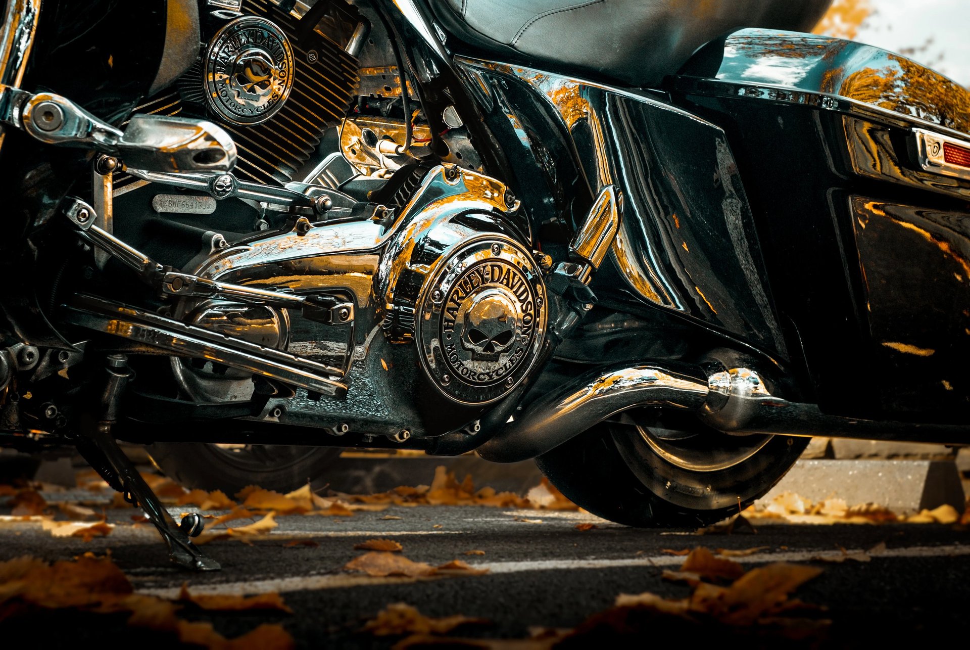 Sleek, black, and elegant BMW Coupe car photos taken at 704 Exotics in Charlotte, North Carolina.