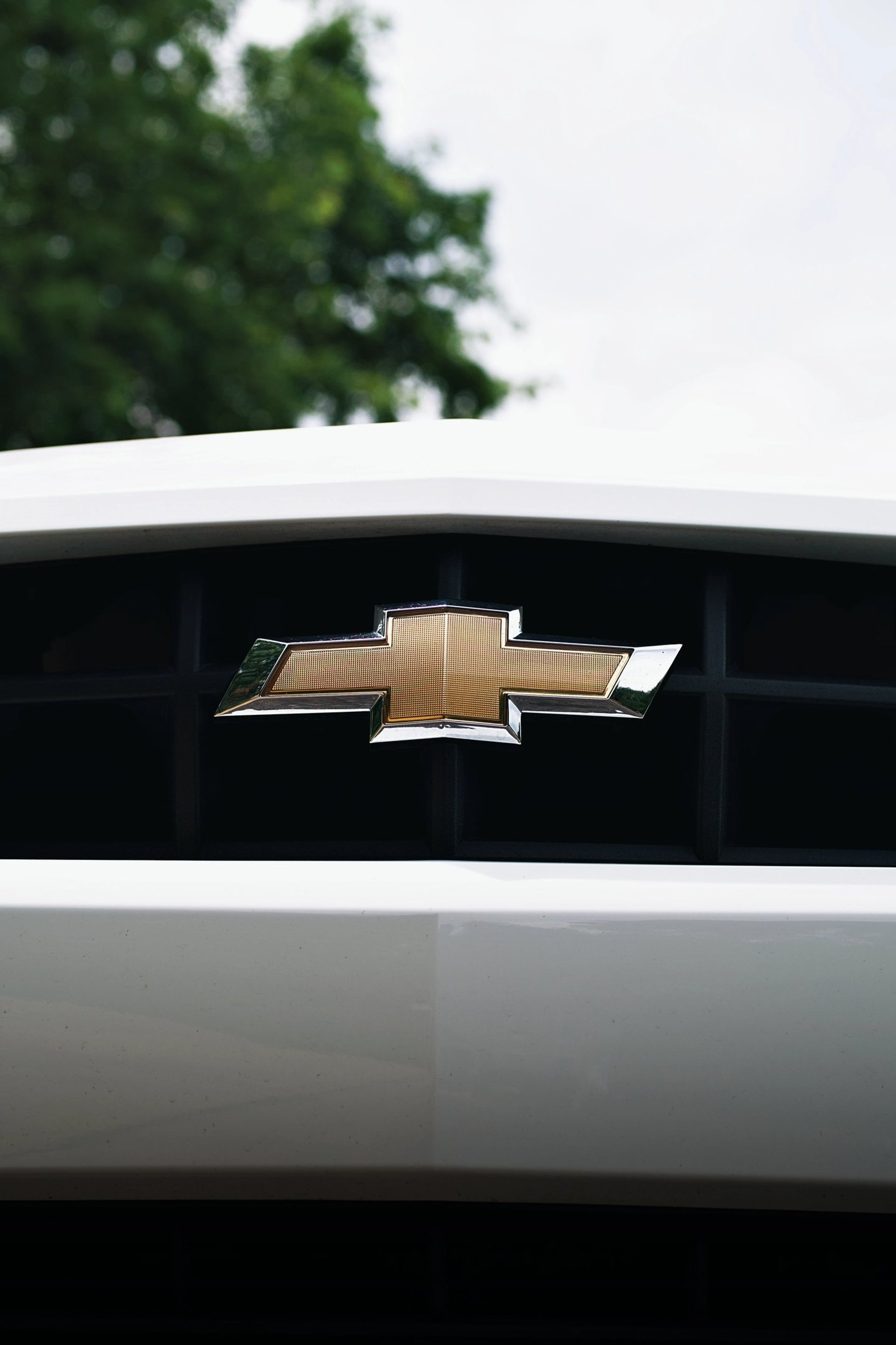 Sleek, black, and elegant BMW Coupe car photos taken at 704 Exotics in Charlotte, North Carolina.