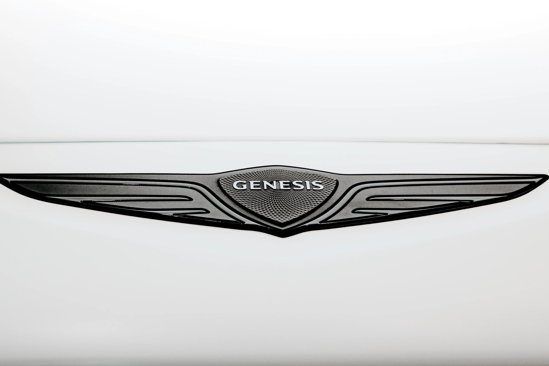 Sleek, black, and elegant BMW Coupe car photos taken at 704 Exotics in Charlotte, North Carolina.