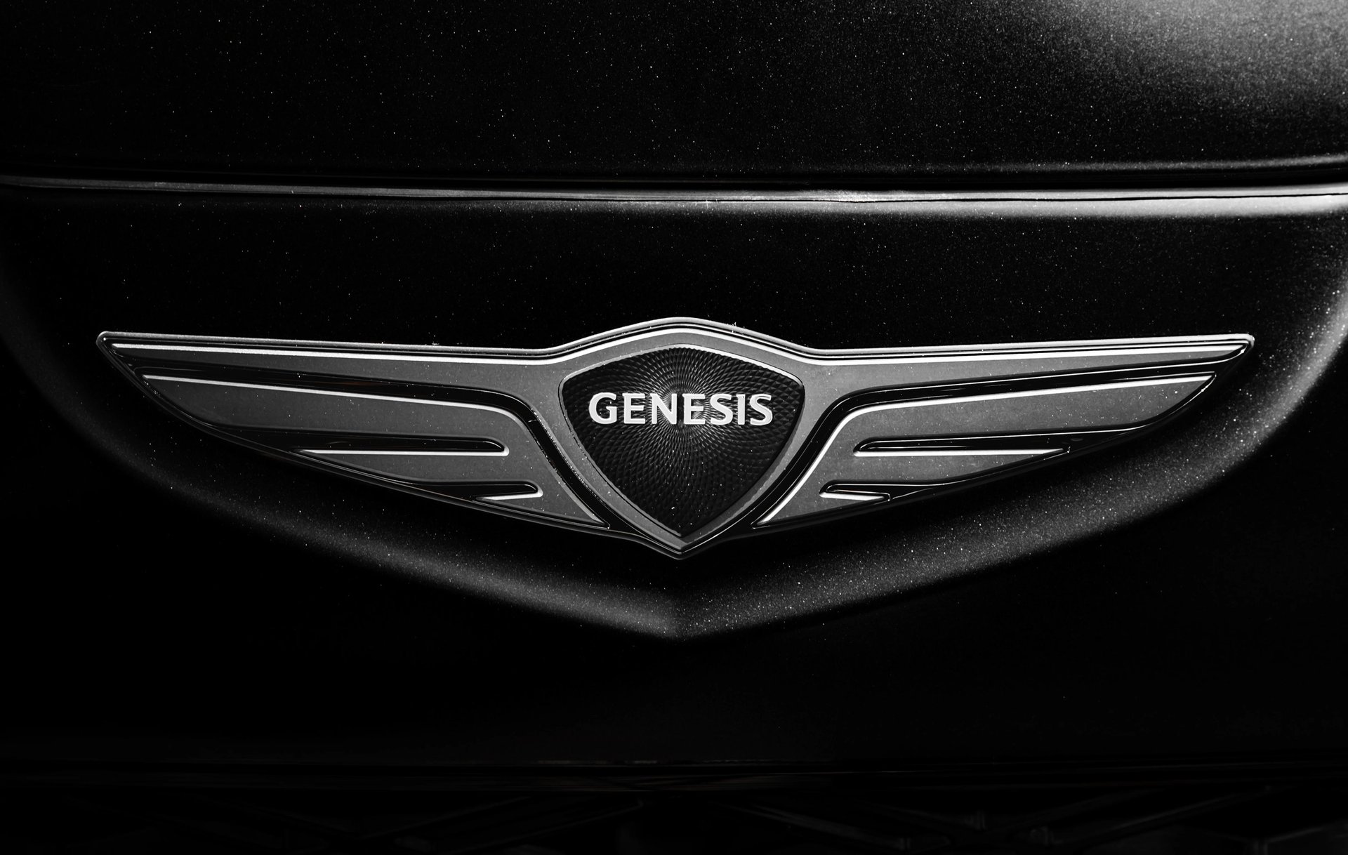 Sleek, black, and elegant BMW Coupe car photos taken at 704 Exotics in Charlotte, North Carolina.