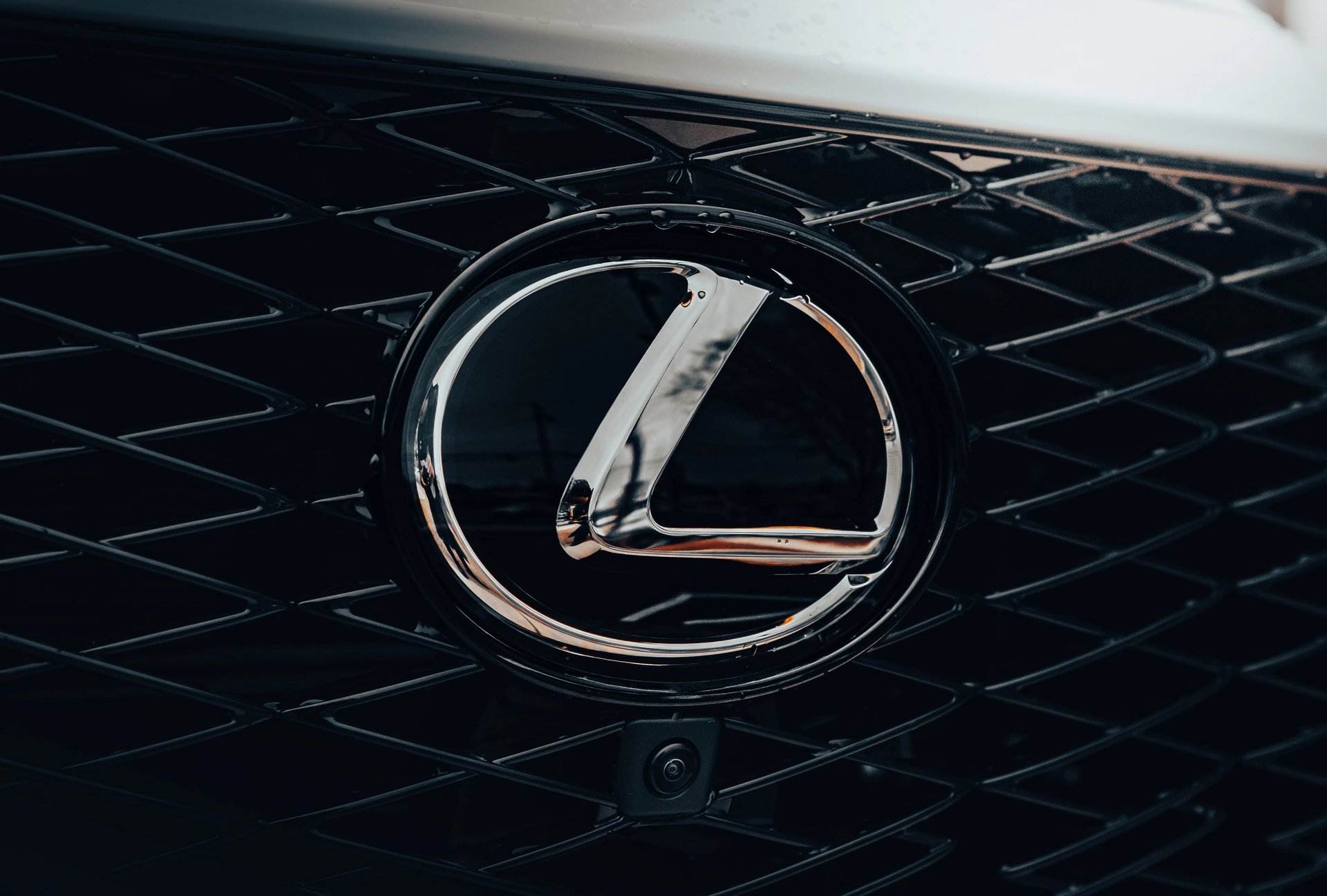 Sleek, black, and elegant BMW Coupe car photos taken at 704 Exotics in Charlotte, North Carolina.