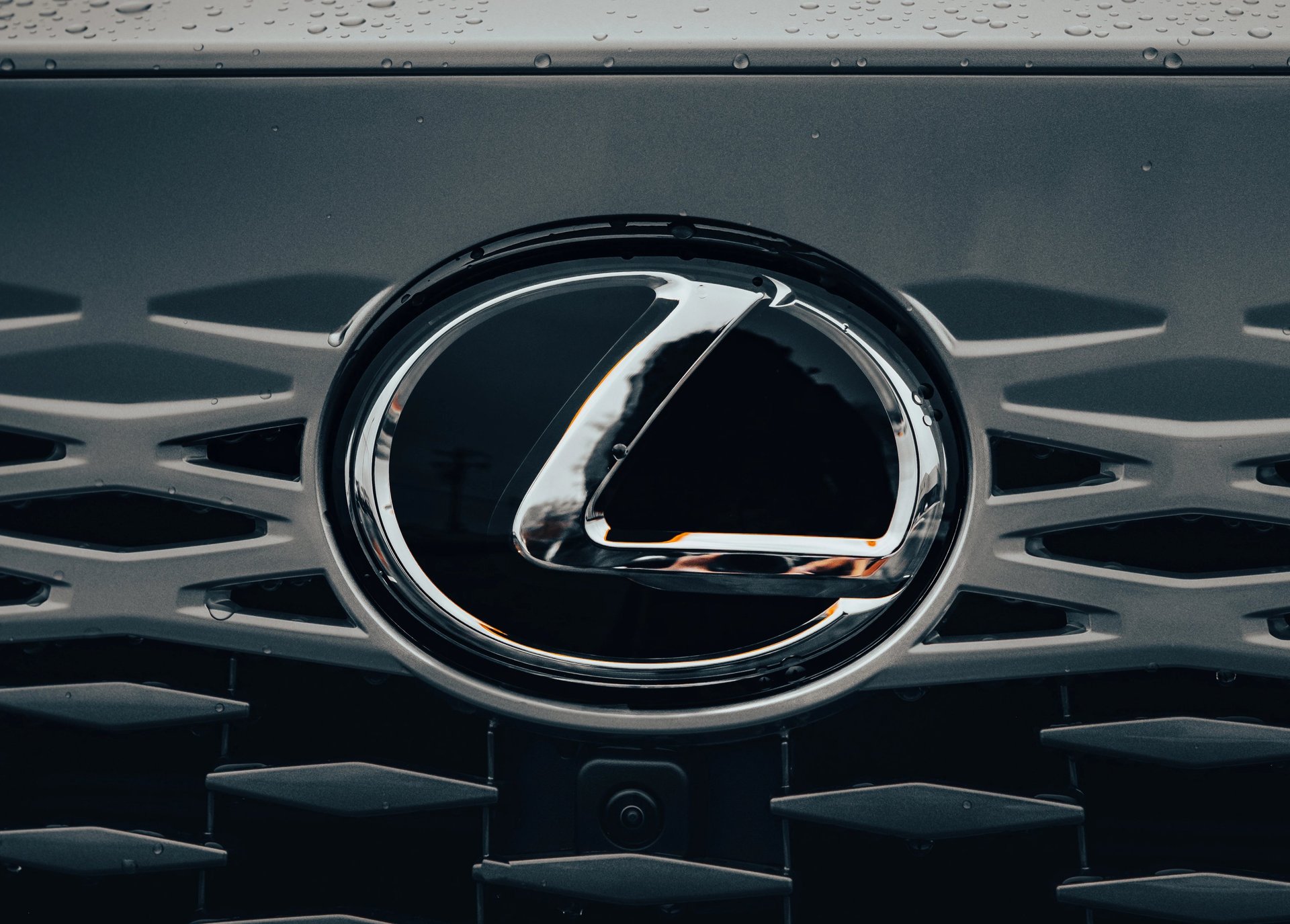 Sleek, black, and elegant BMW Coupe car photos taken at 704 Exotics in Charlotte, North Carolina.