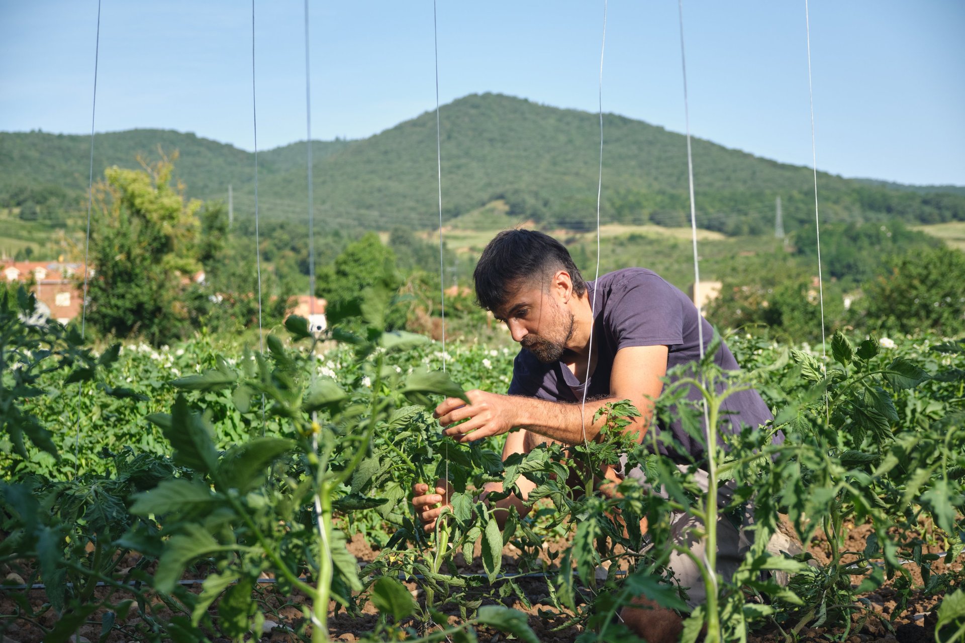 black blue and yellow textile
