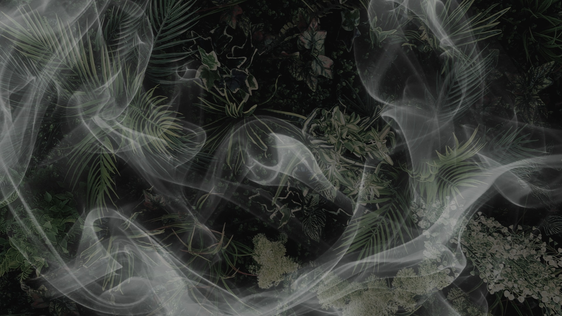 woman holding dried flower