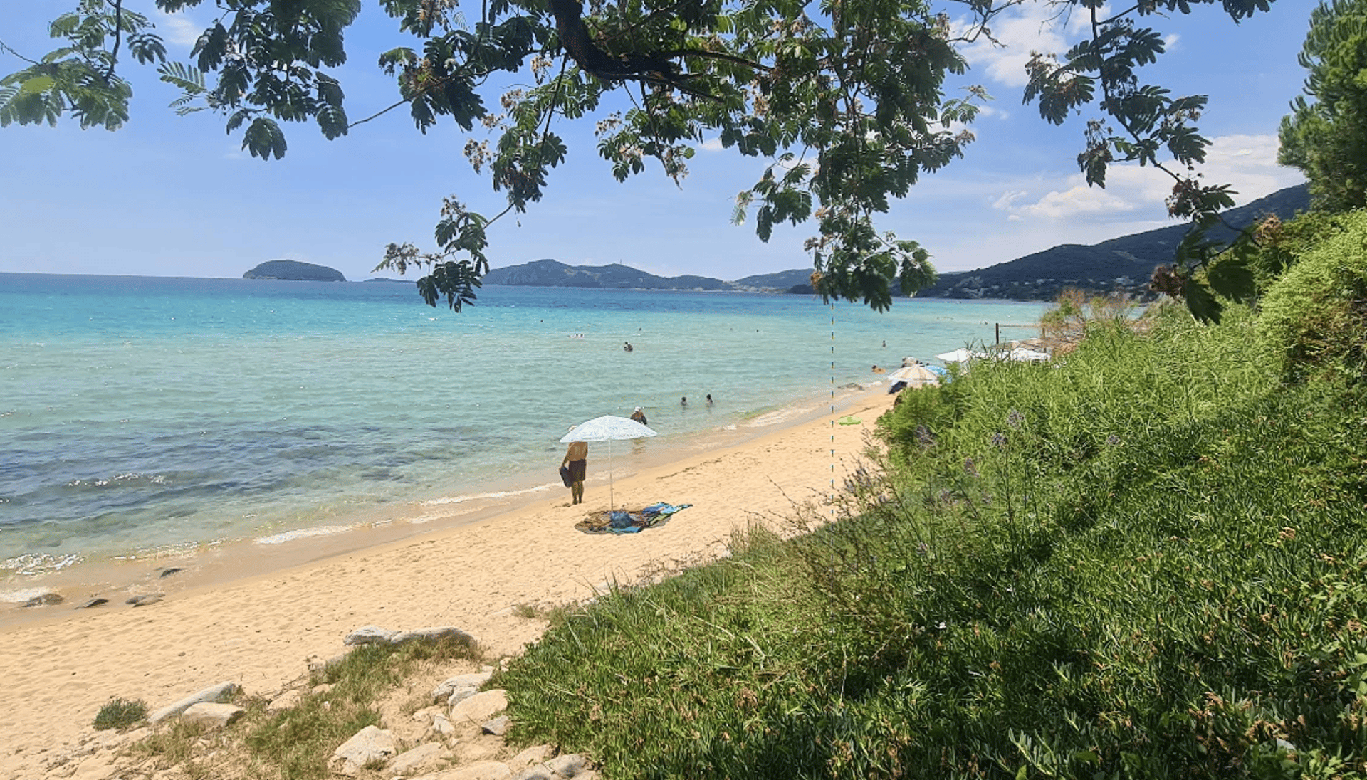 black and white bed linen