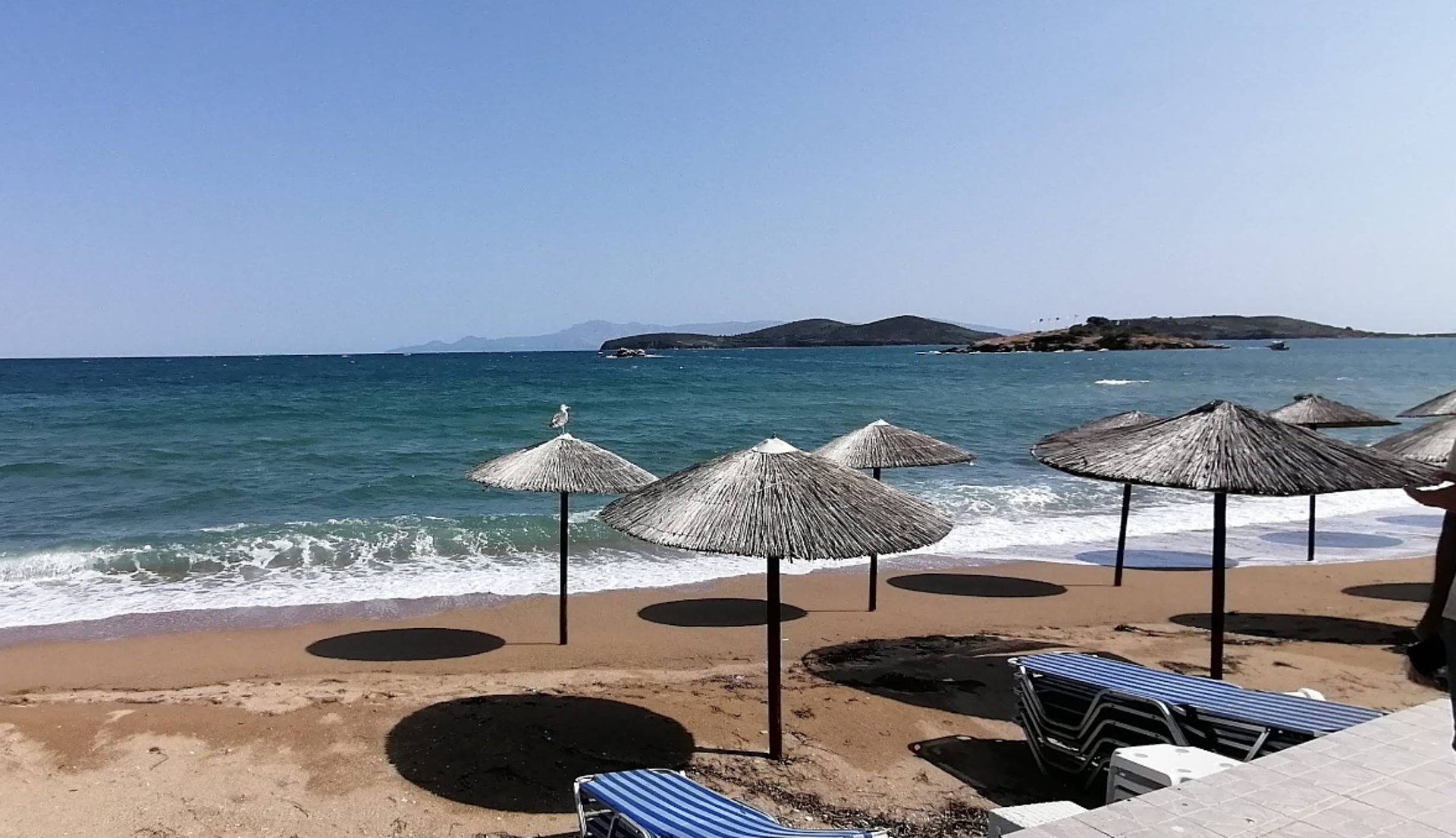 black and white bed linen