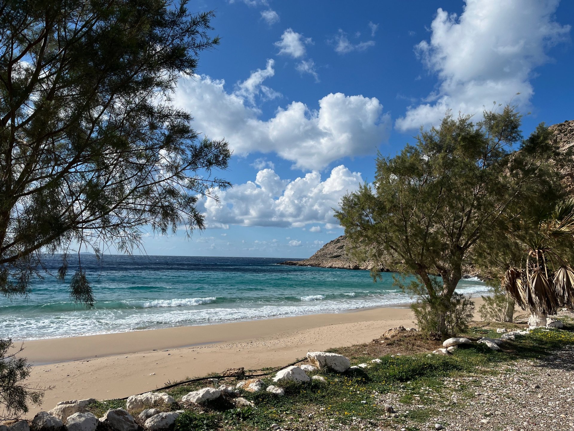 black blue and yellow textile