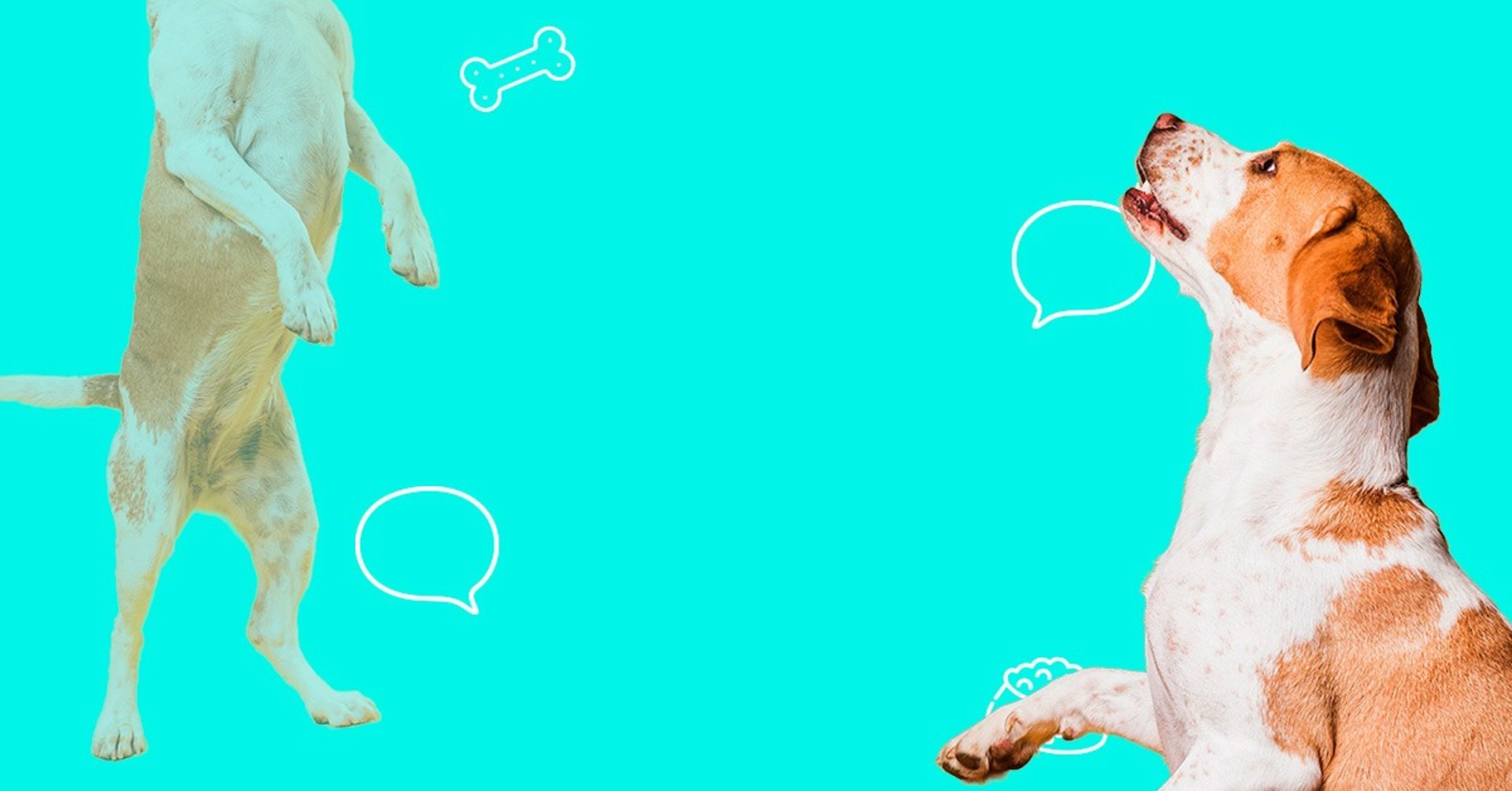 a close up of a black and brown abstract painting