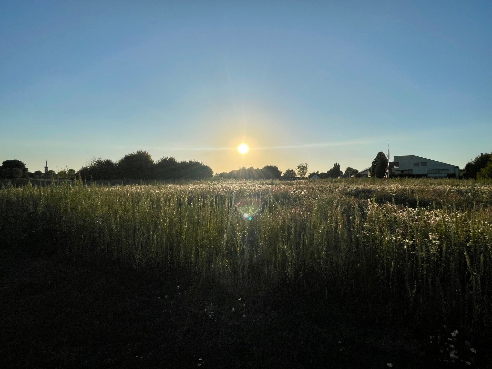 woman wearing yellow long-sleeved dress under white clouds and blue sky during daytime