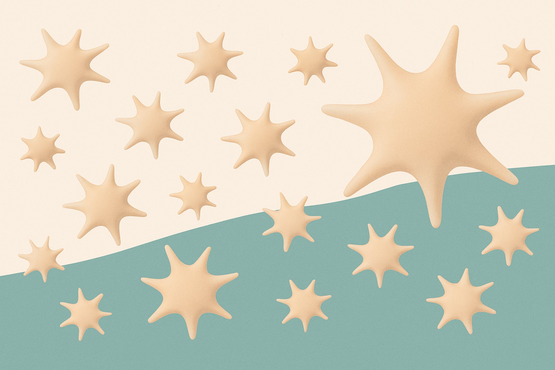 a close up of a starfish under a blue sky