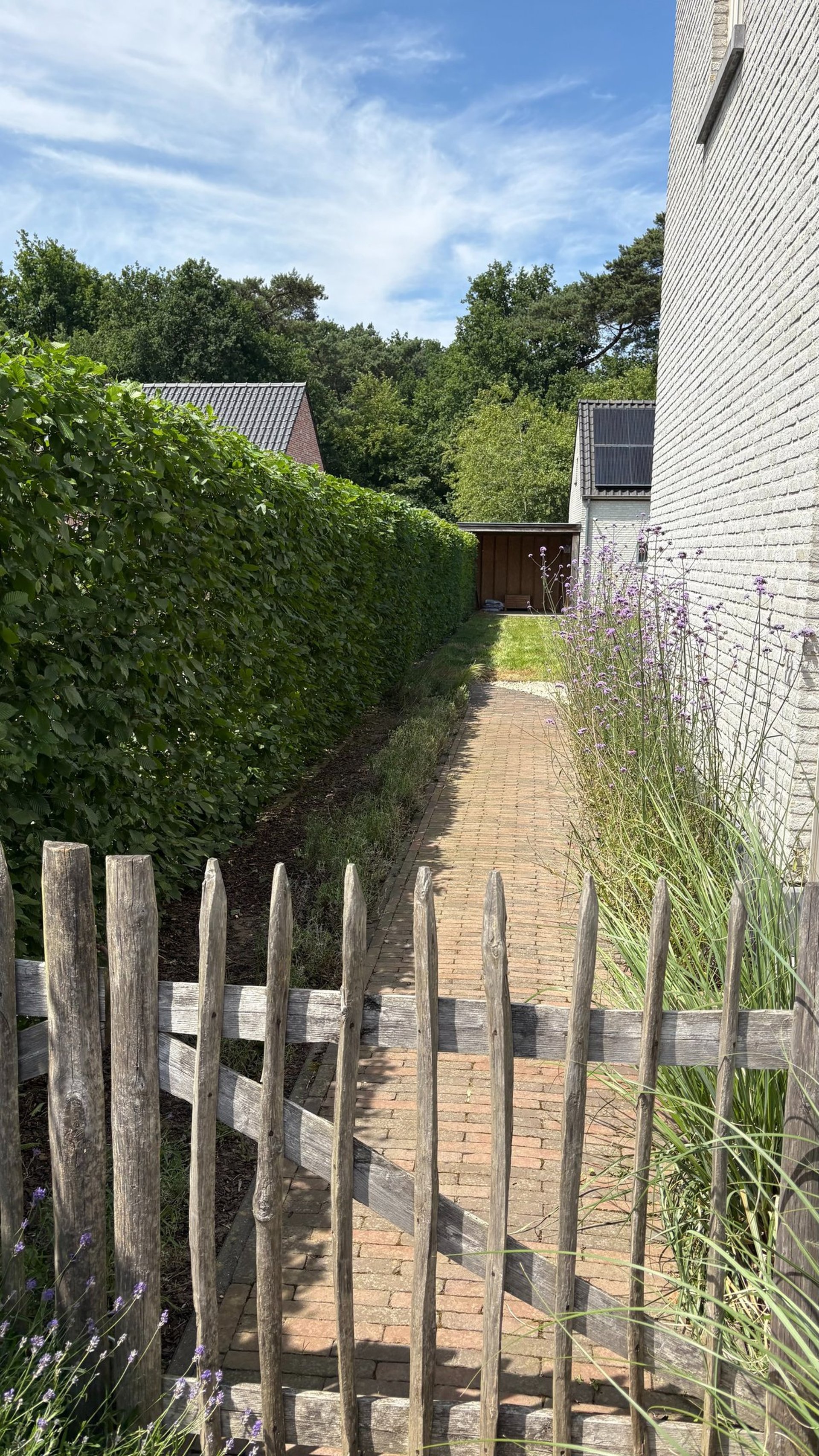 black blue and yellow textile