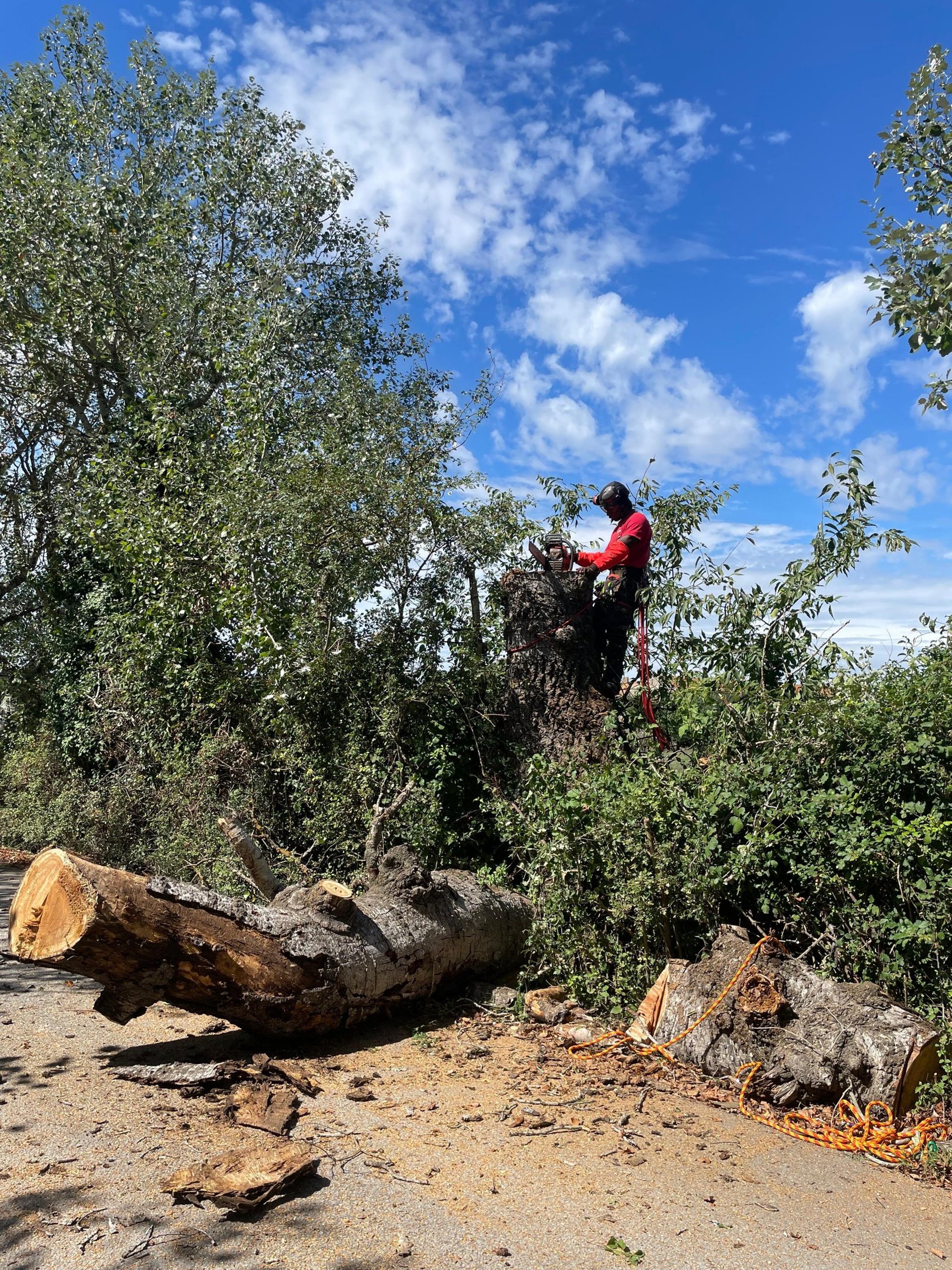 mountain range under blue sky
