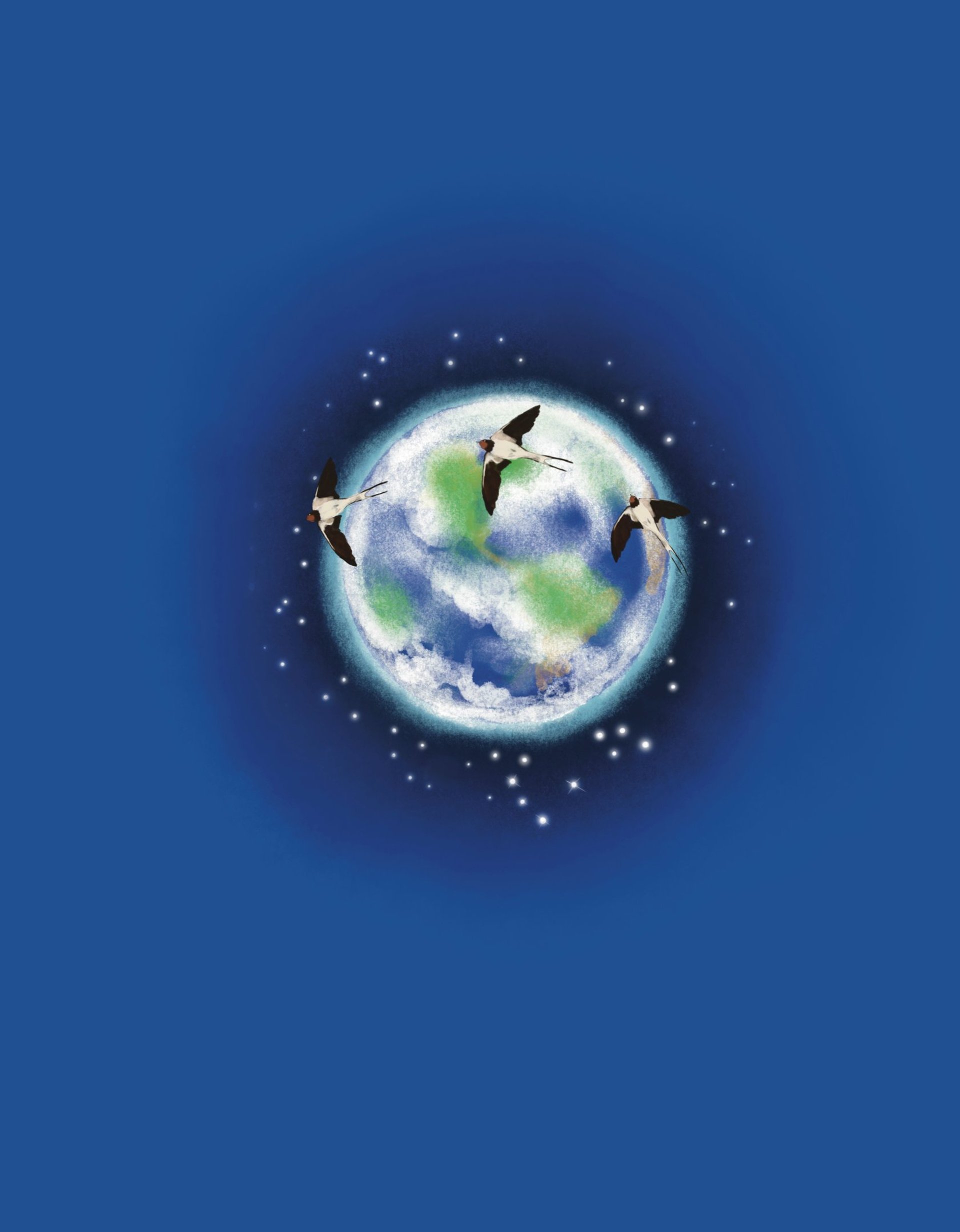 gray computer monitor