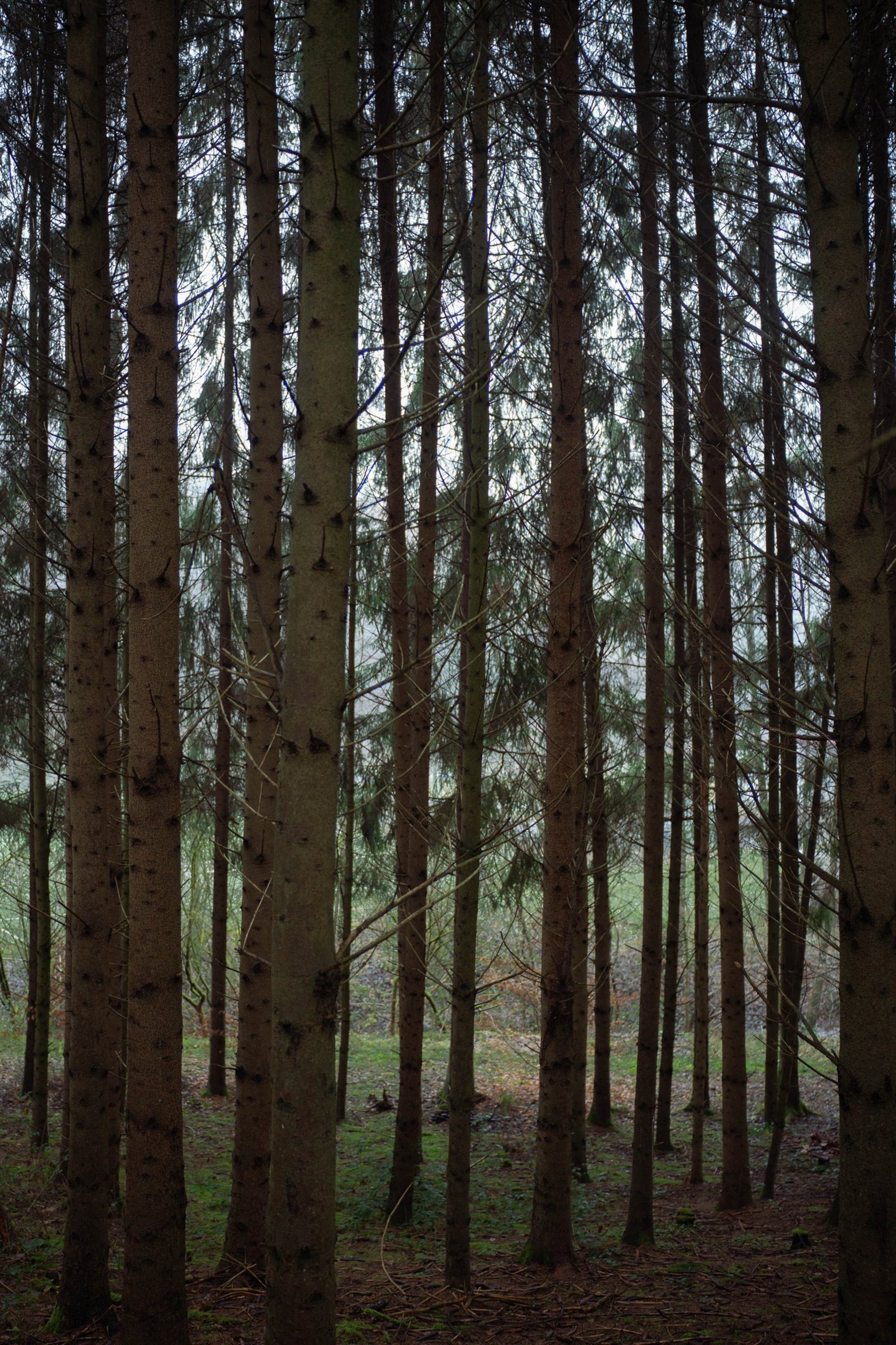 the sun is setting over a body of water