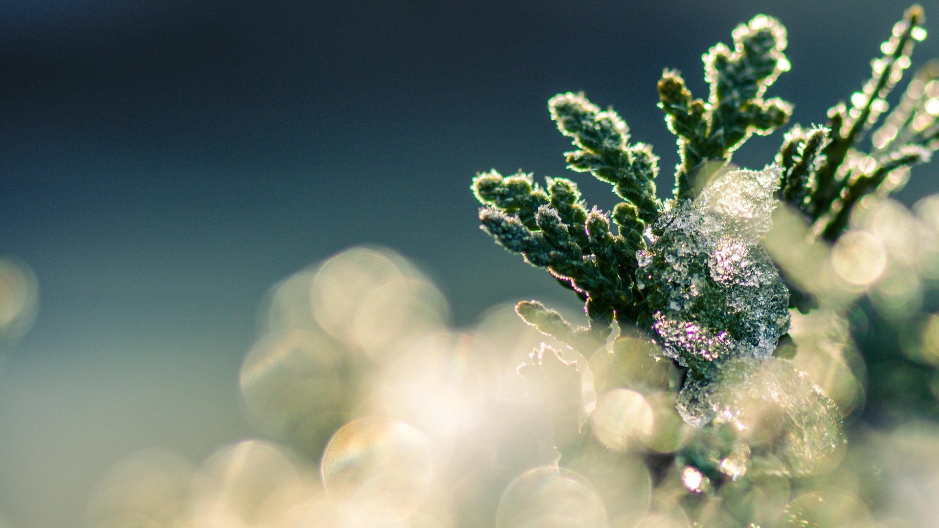 the sun is setting over a body of water