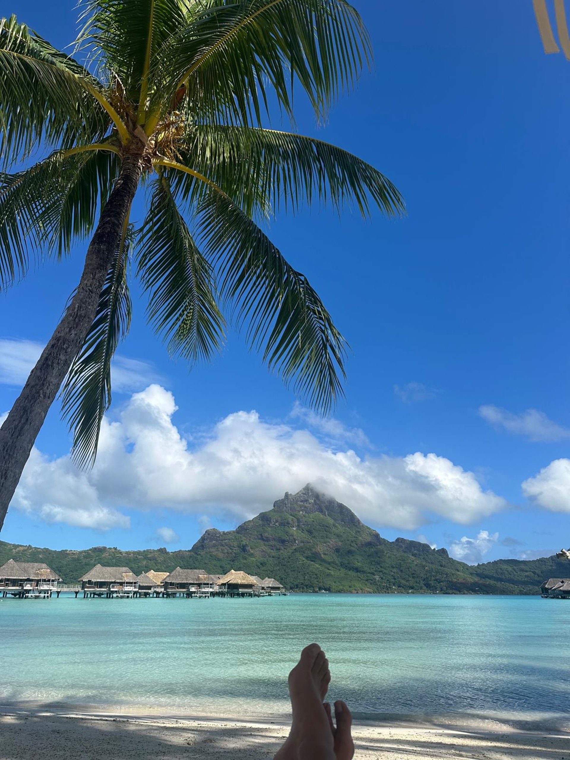 dernier verre au paradis