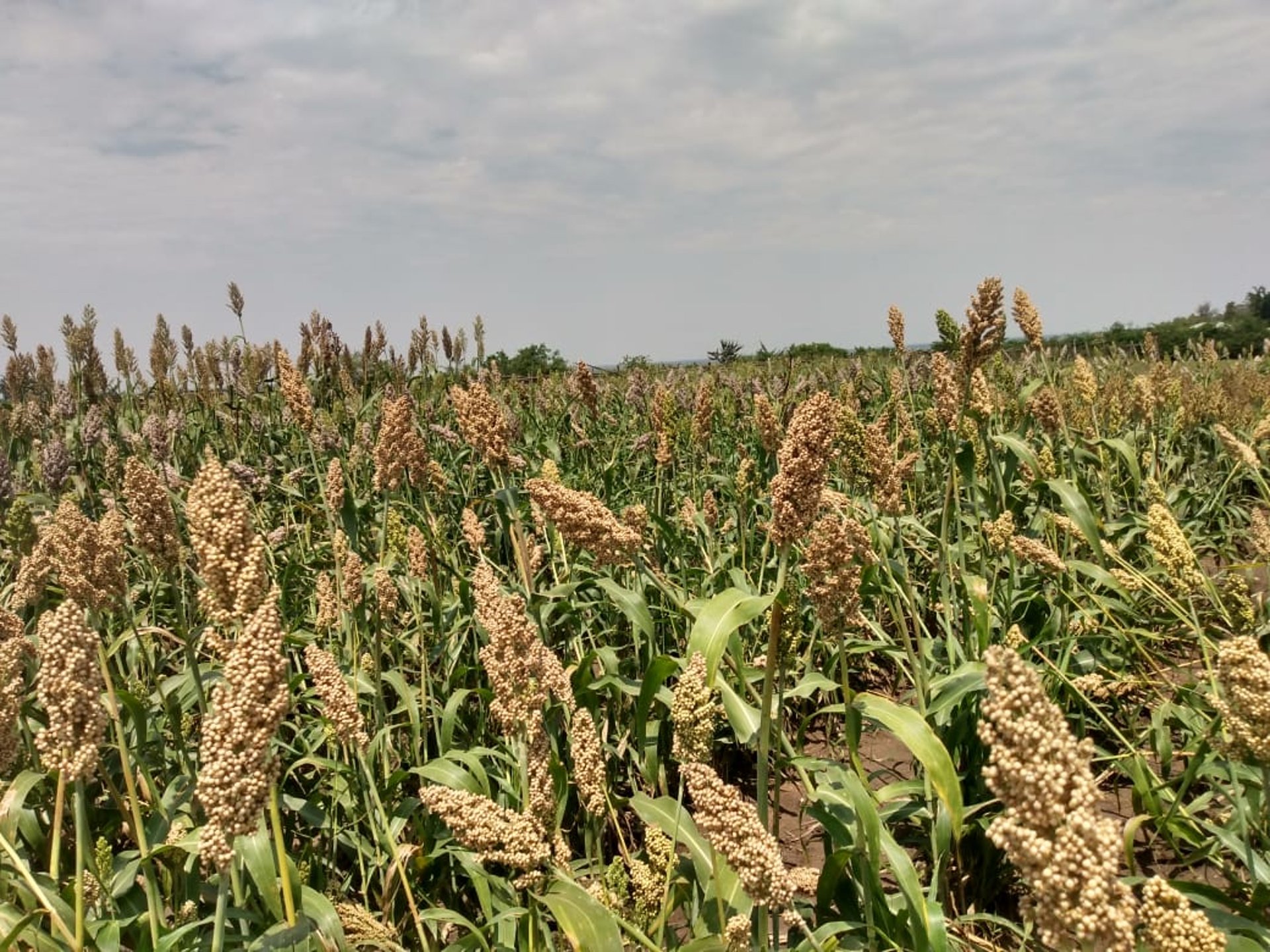 an abstract photo of a curved building with a blue sky in the background