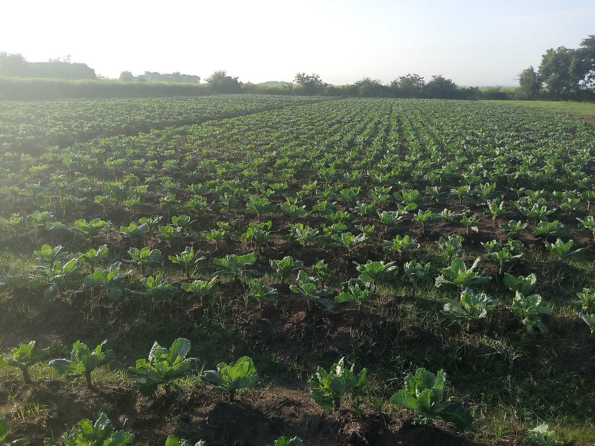 an abstract photo of a curved building with a blue sky in the background