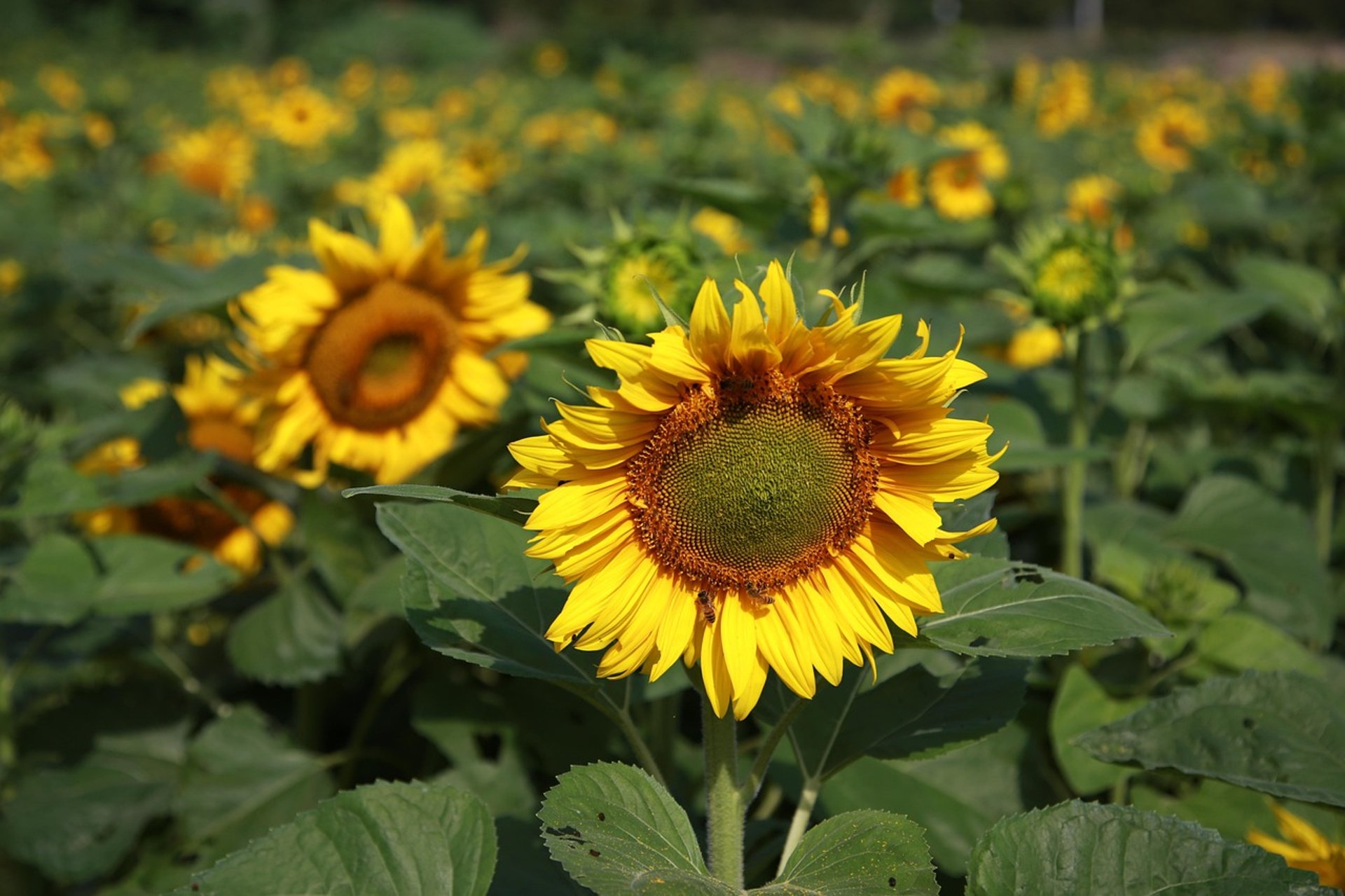 an abstract photo of a curved building with a blue sky in the background